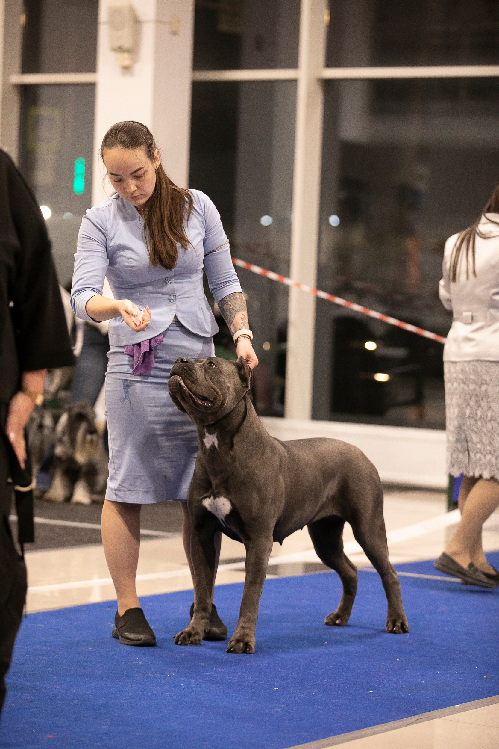 Авторские пресеты для обработки фото. Фотограф — видеограф Алиса Дружинина