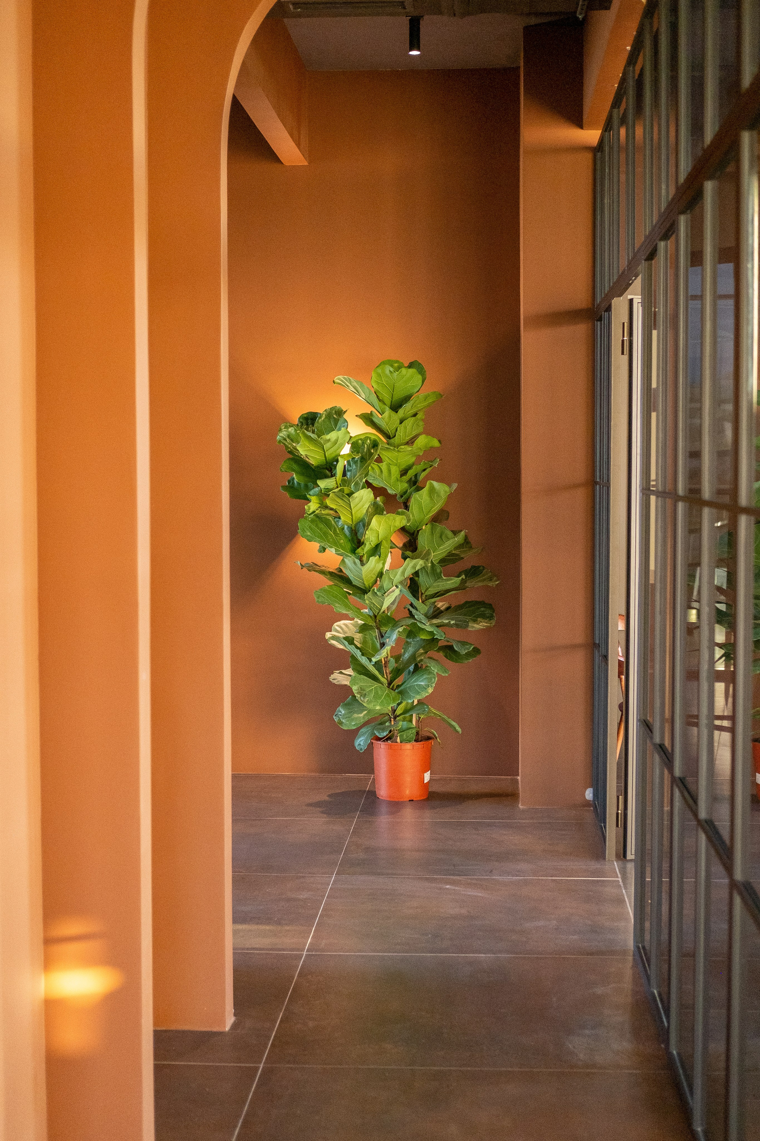 Shato Labra. Фотограф на Бали|Свадьба на Бали