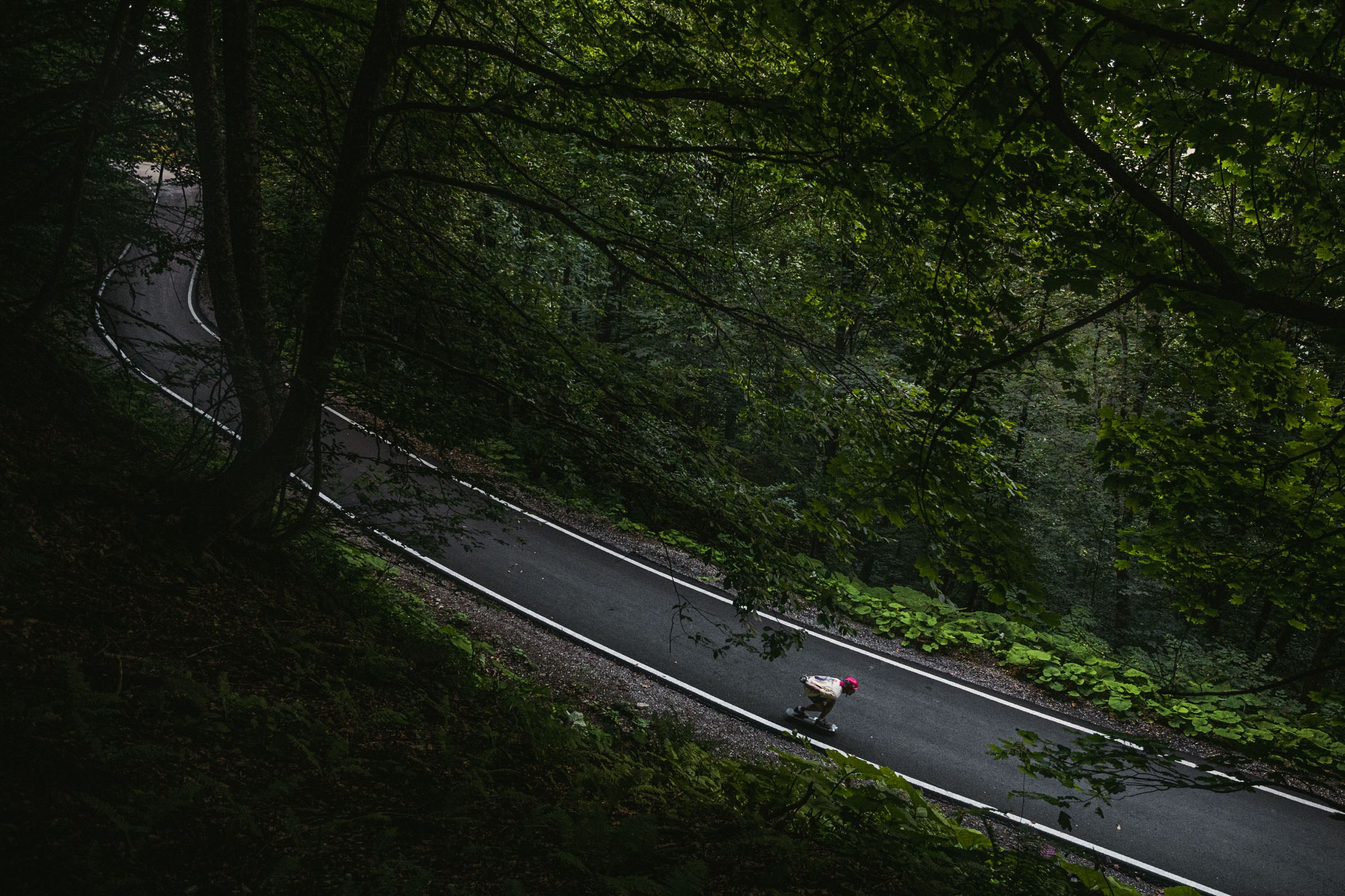 Action / Highlights. Bivol images