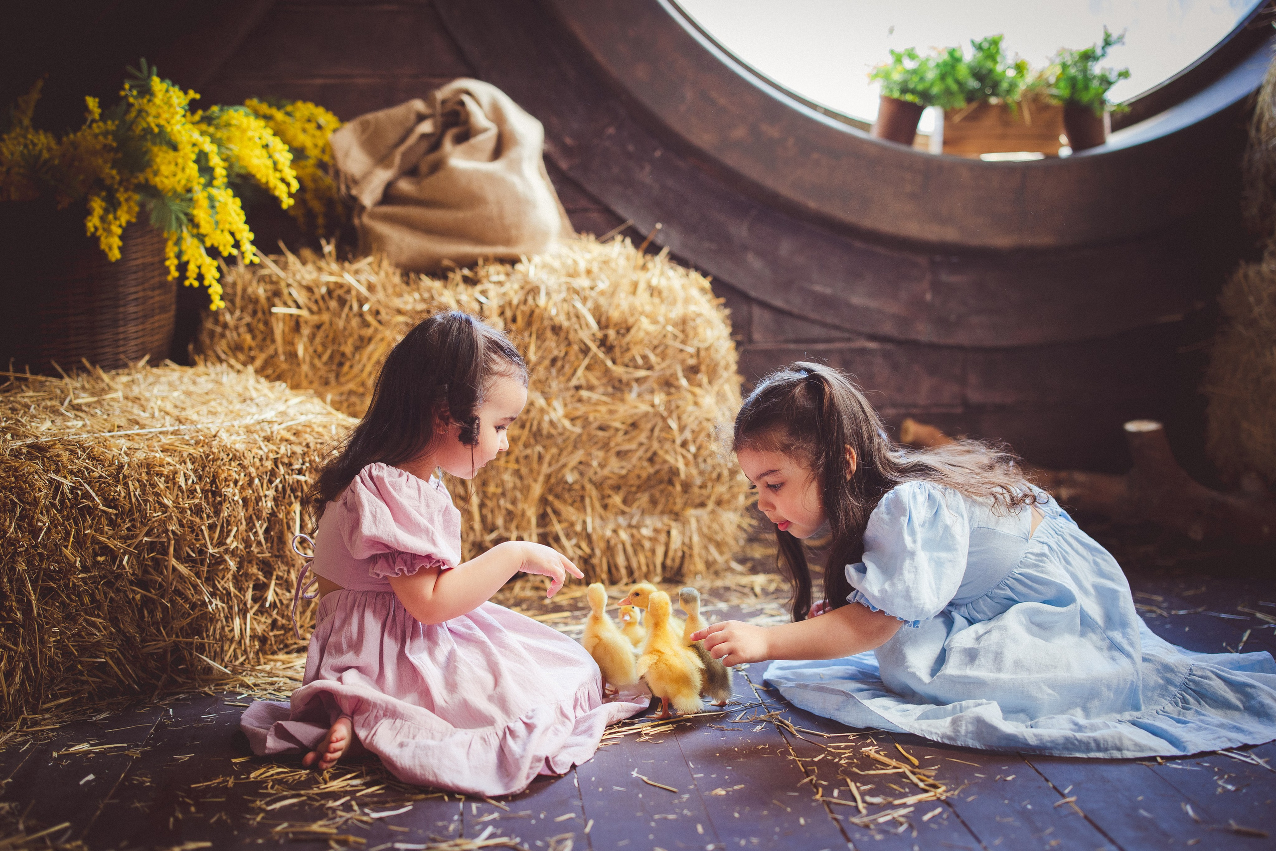 Пасхальный фотопроект с козочкой и утятами, в фотостудии «Эль» 2024 г. Семейный и детский фотограф в Краснодаре Анна Трашкова