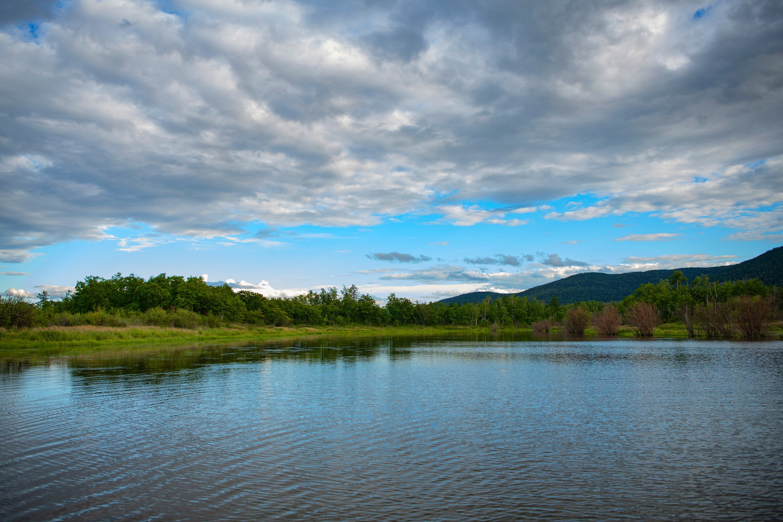 Природа Хабаровского края. Команда фотографов Кристины Ивановой
