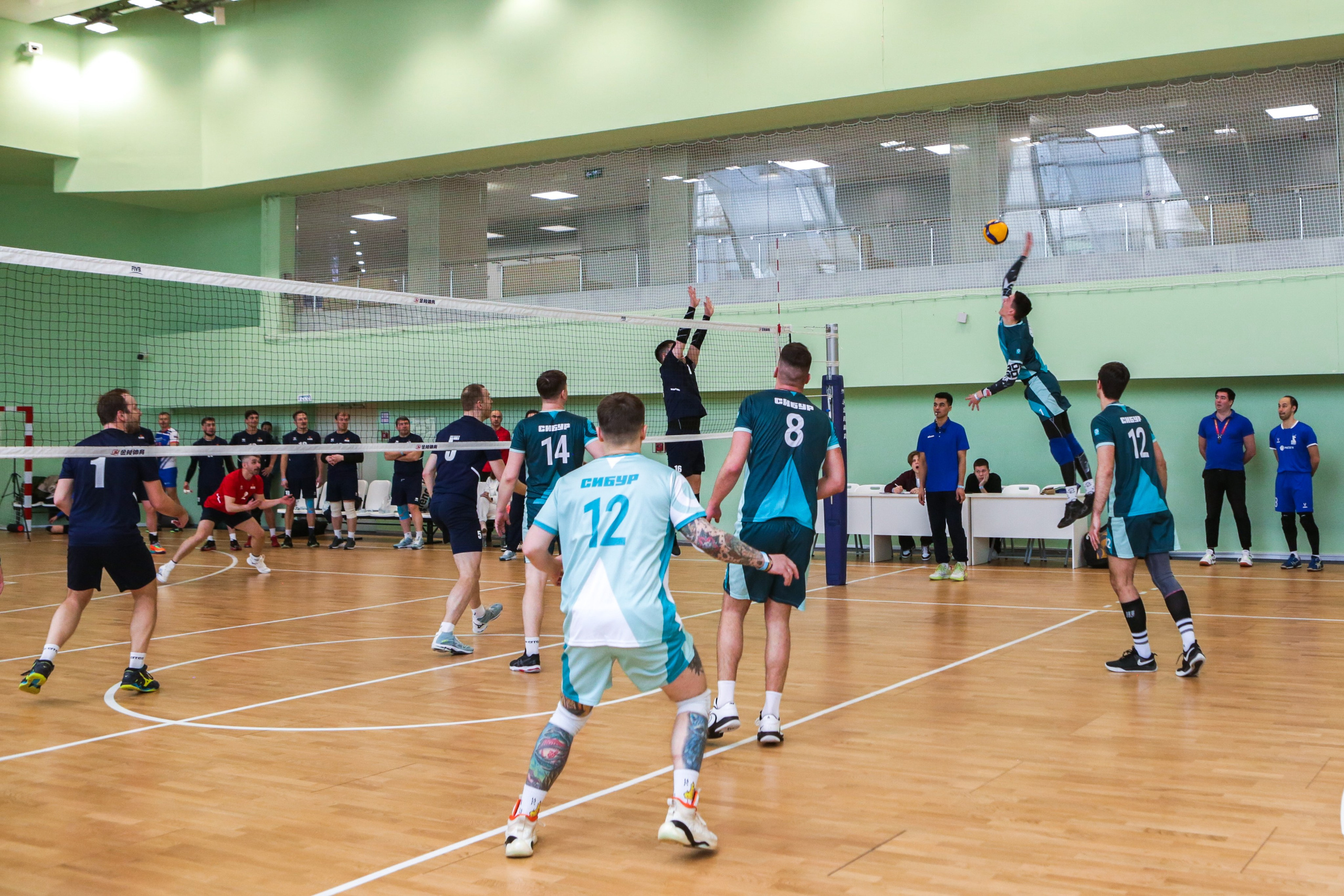 Волейбол. Репортажный, семейный, свадебный, портретный фотограф