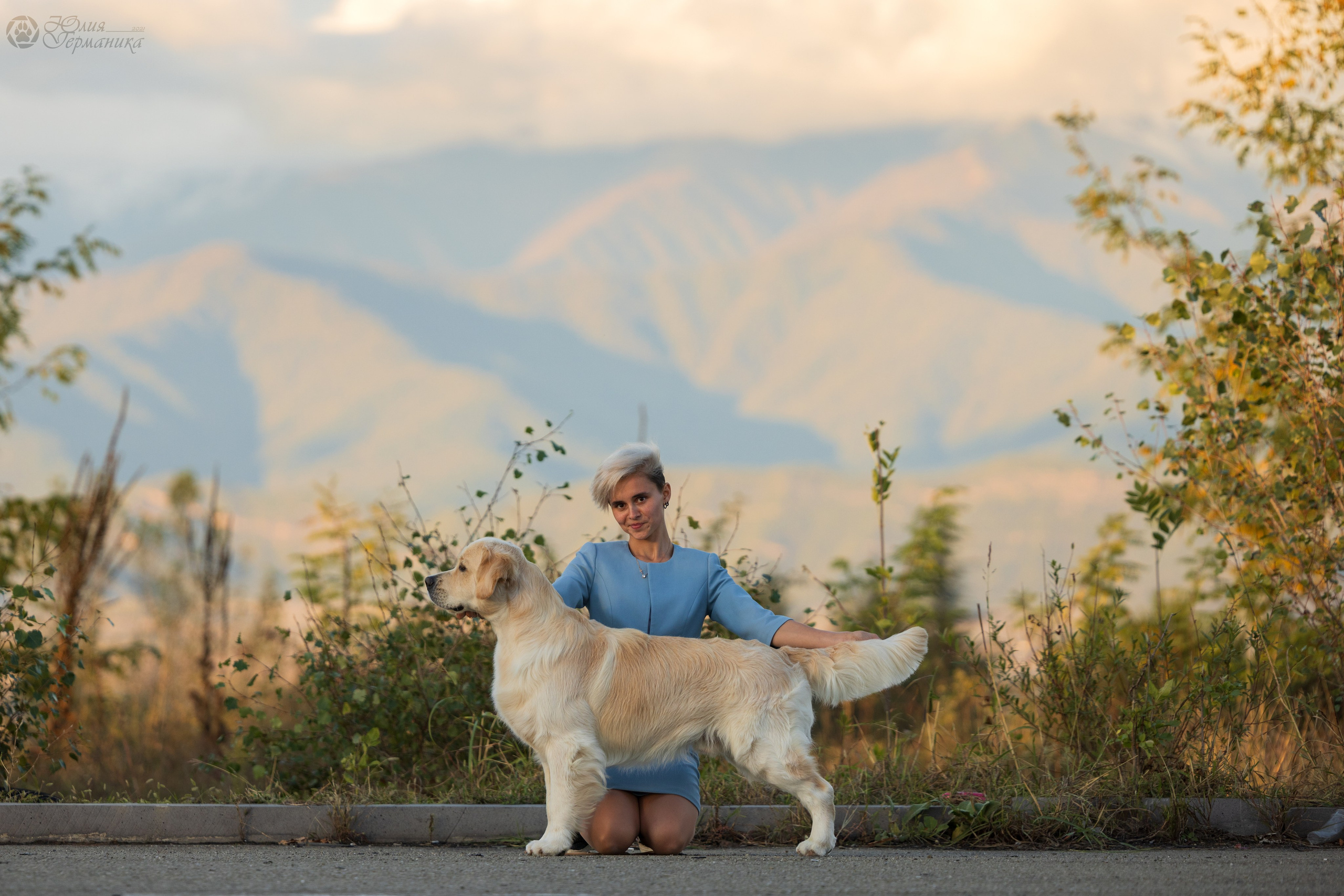 Грузия,Телави 2хCACIB 19-20.10.2024. Фотограф-анималист Юлия Германика