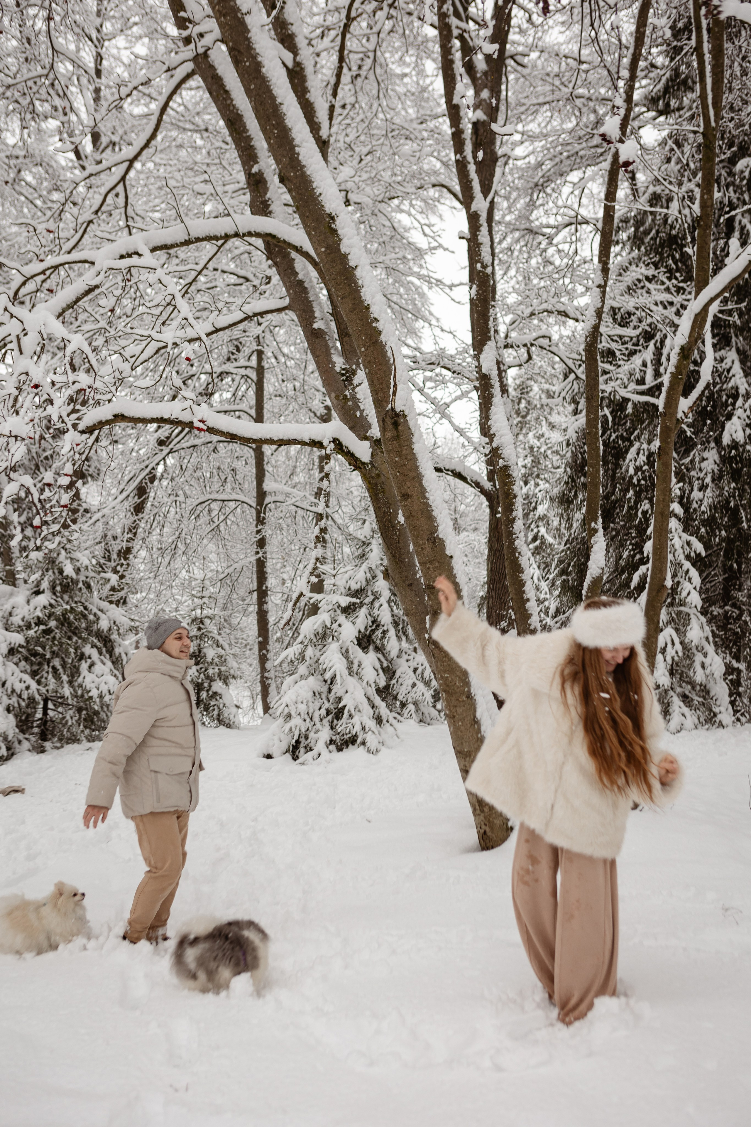 Новогодняя фотосессия с собачками в шуваловском парке. Свадебный фотограф в СПБ | Санкт-Петербурге Анастасия Рахимгулова