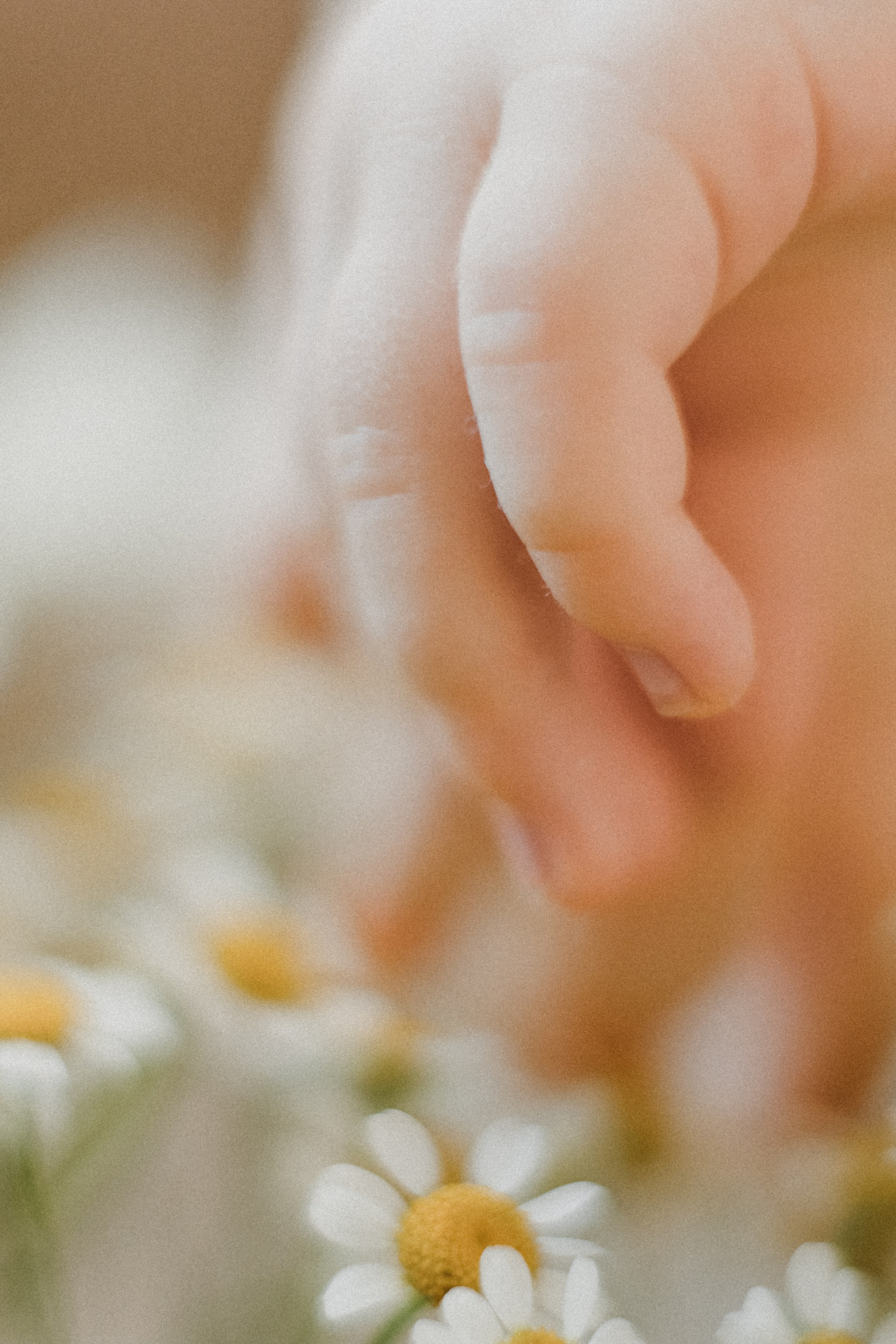 Рита и Марк. Семейный фотограф Москва