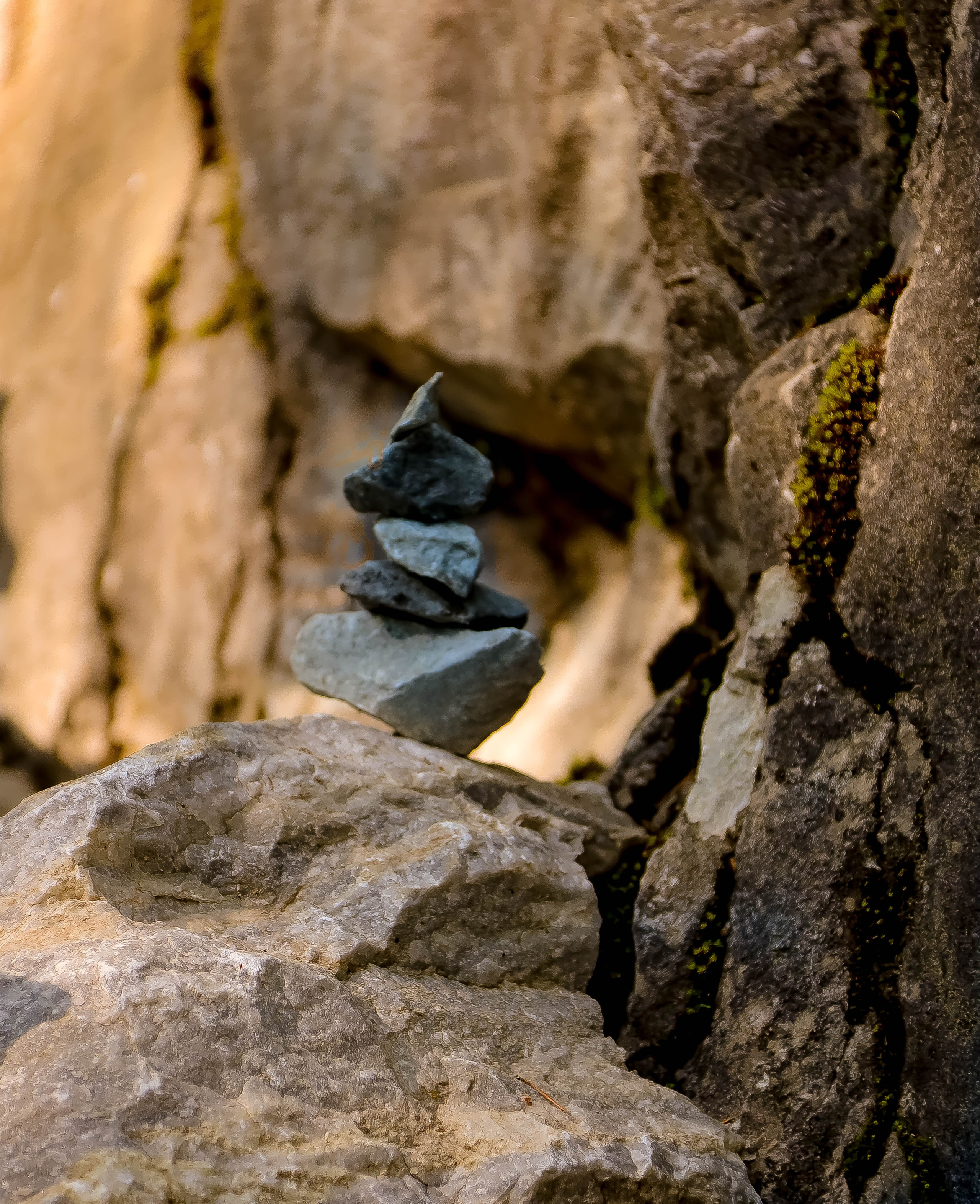 ПЛАНЕТА ЗЕМЛЯ (пейзаж). АЛЕКСЕЙ КОЛМАКОВ. Фотограф. Москва и Московская область