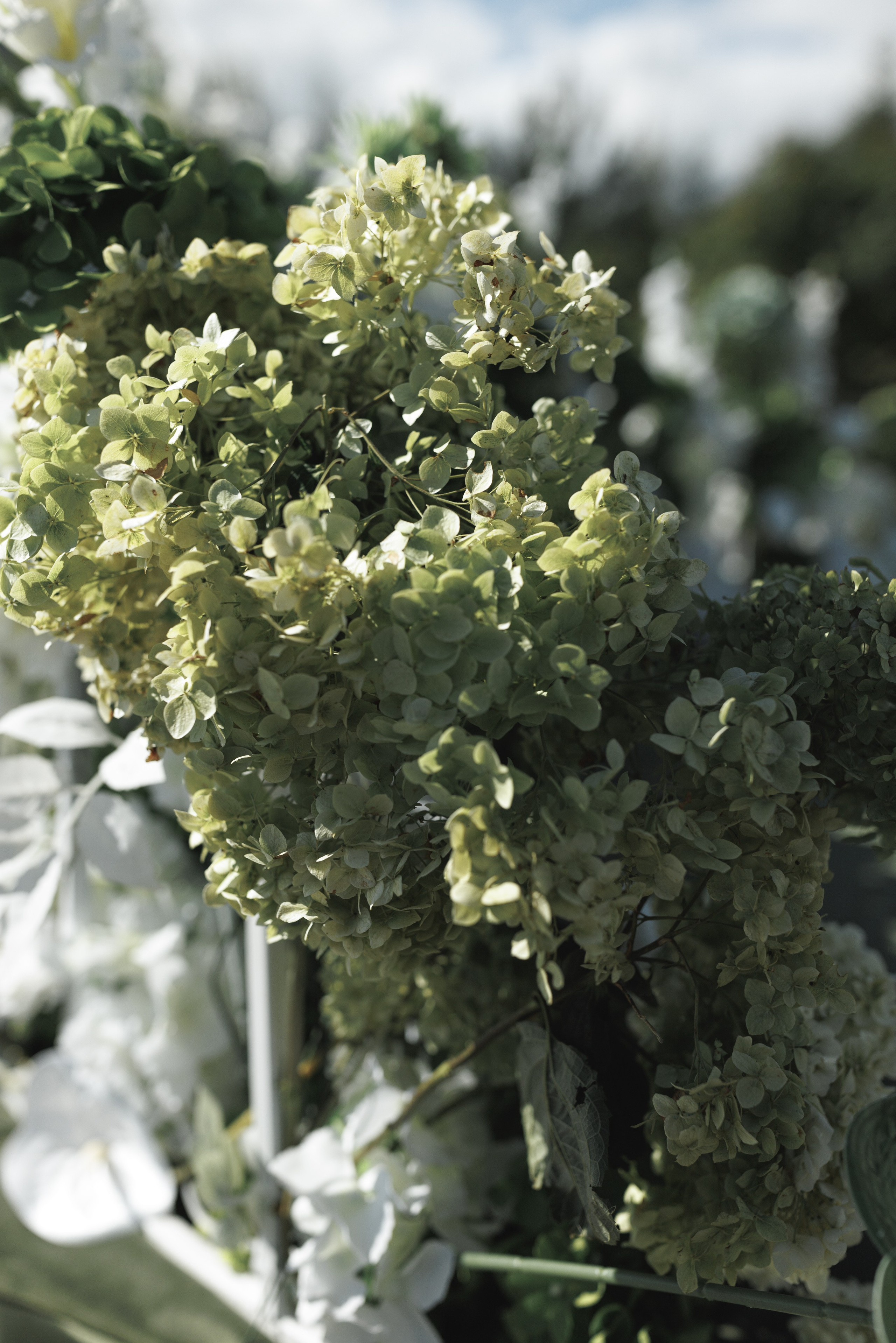 Работы свадебного фотографа Минск, Москва, Санкт-Петербург