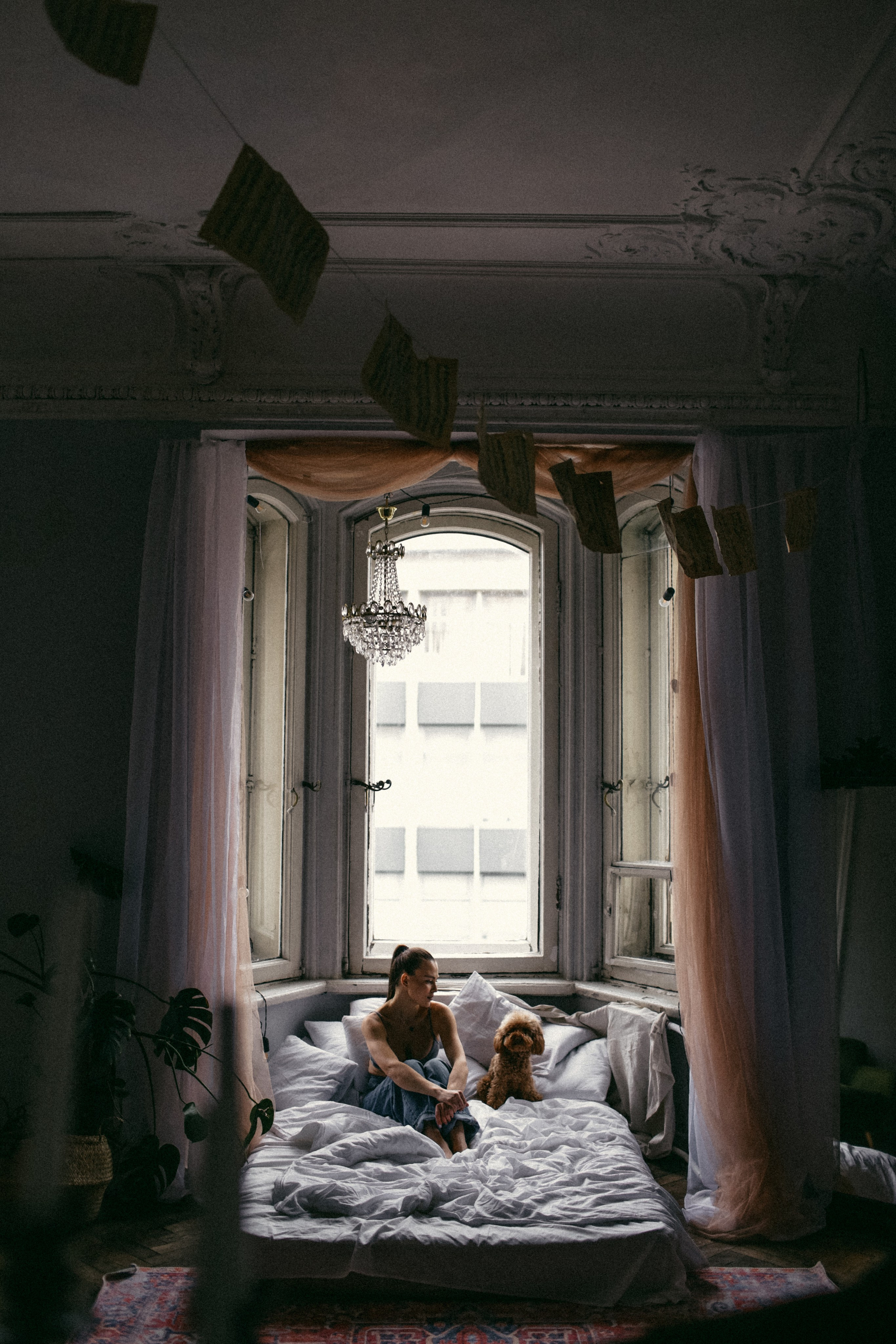 Алёна. Главная