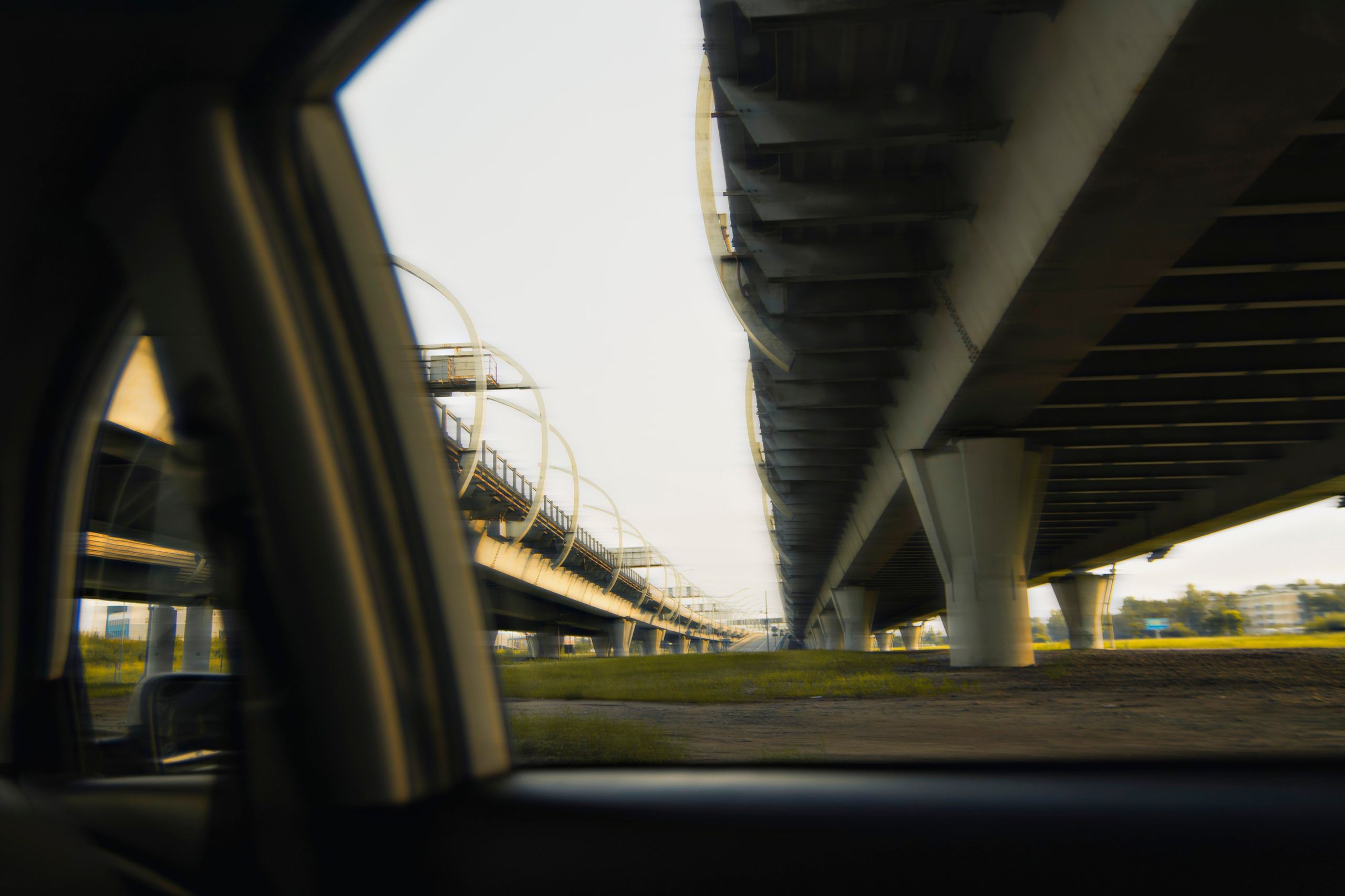 Из наблюдений. Плак или Квак