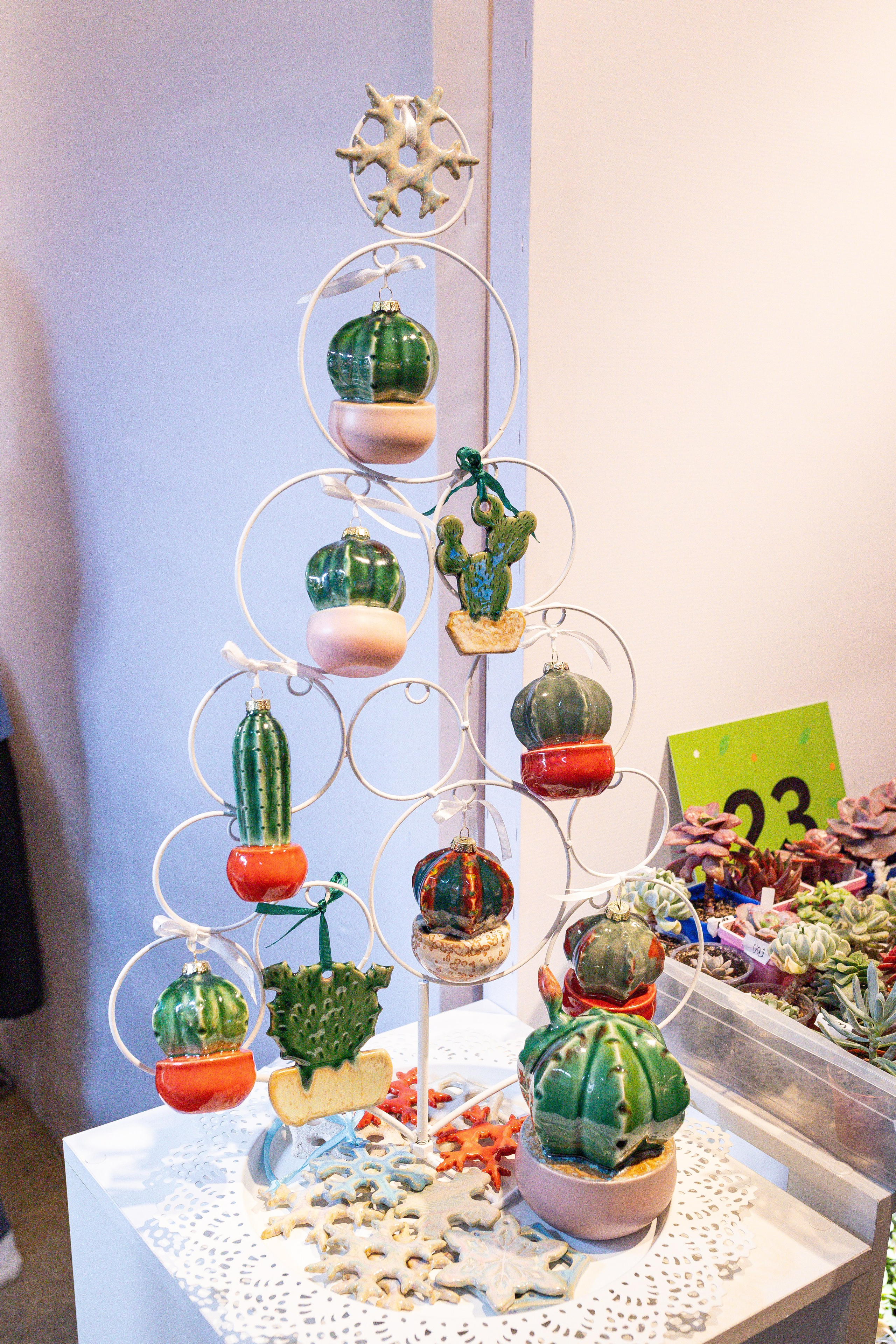 Growbox декабрь 2025. Александра Куликова фотограф, Москва