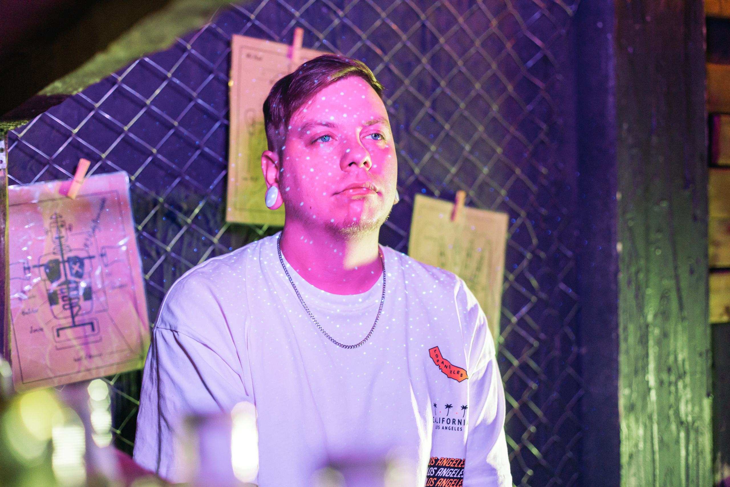 Грабитель неонового дома. Фотограф Великий Новгород