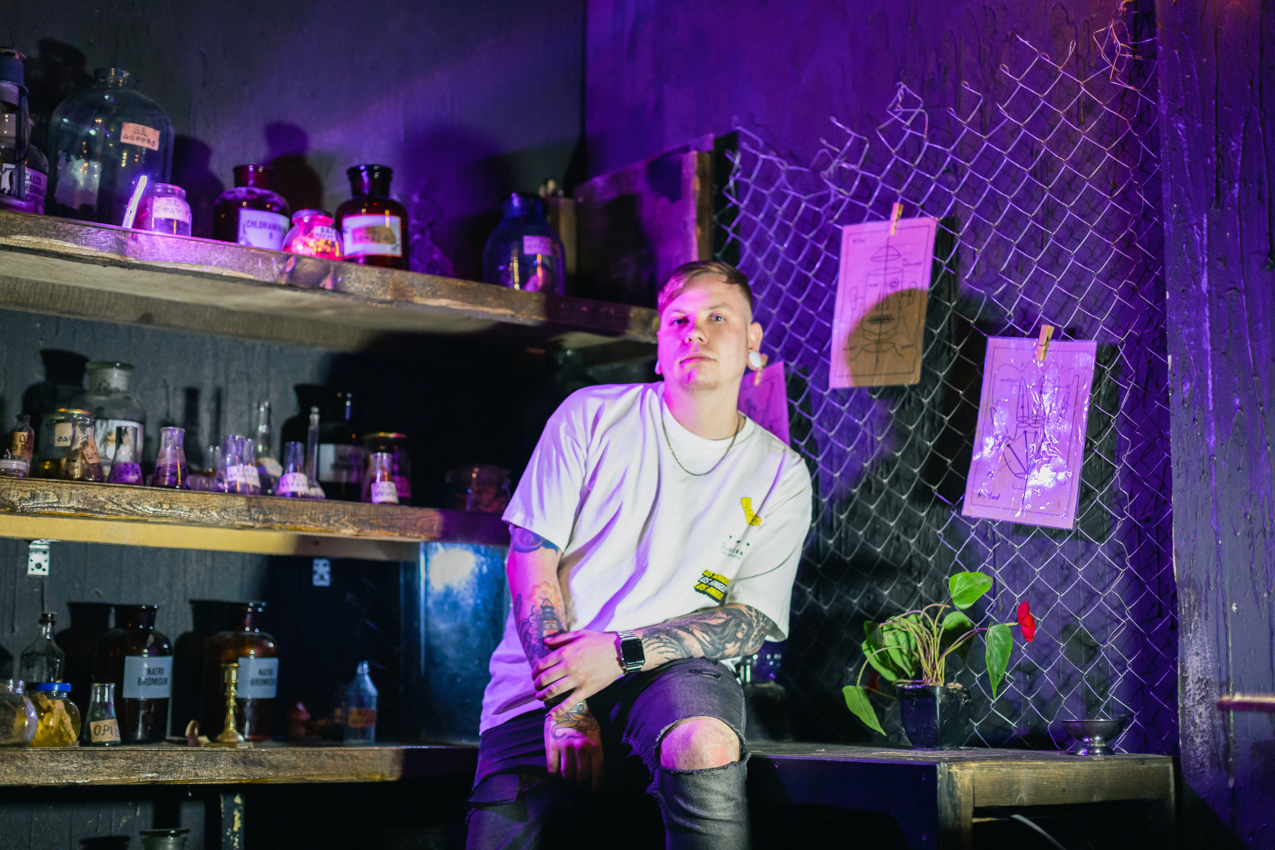 Грабитель неонового дома. Фотограф Великий Новгород