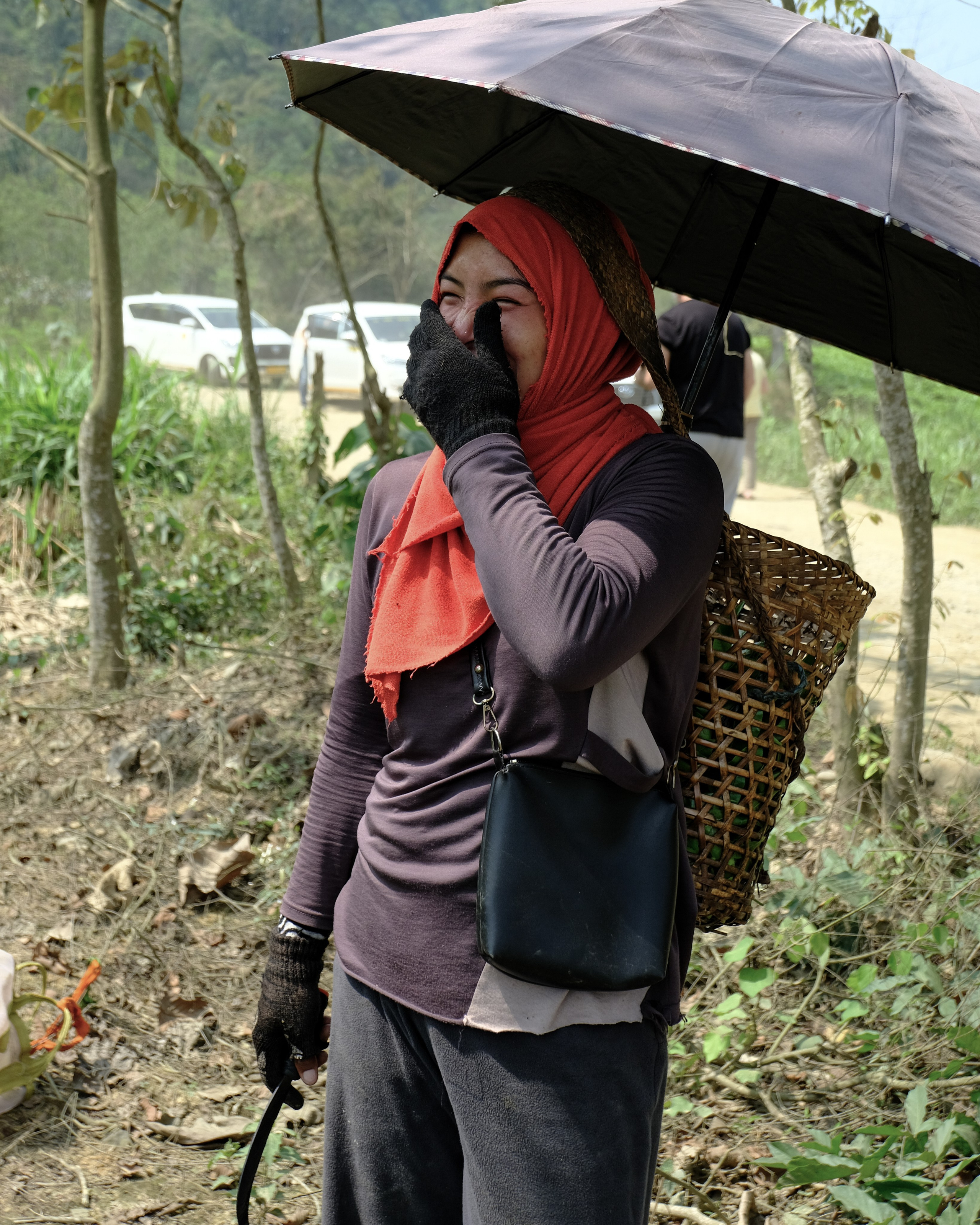 Ассам и Казиранга. Фотографии из путешествий