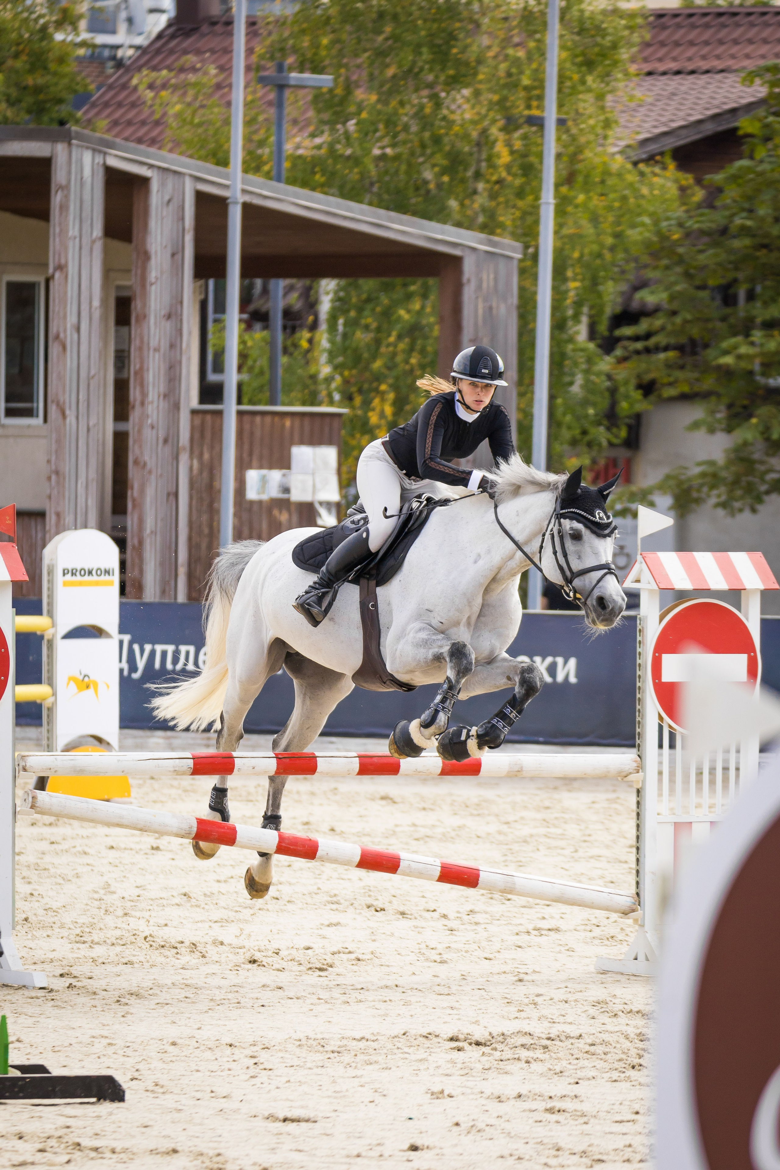 Конный спорт. Photomantis