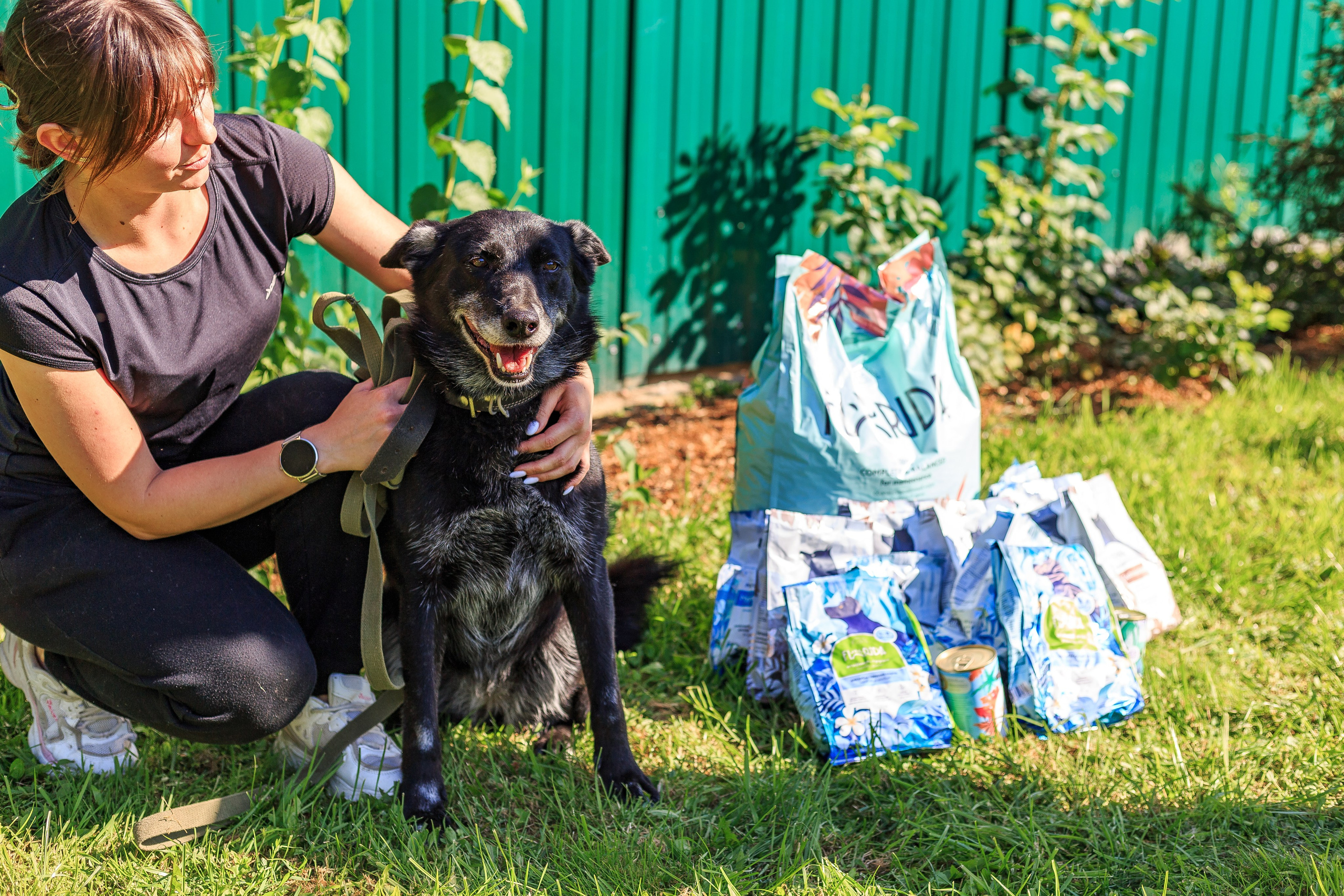 Petshop Забота. Фотограф в Санкт-Петербурге Чумаков Семен