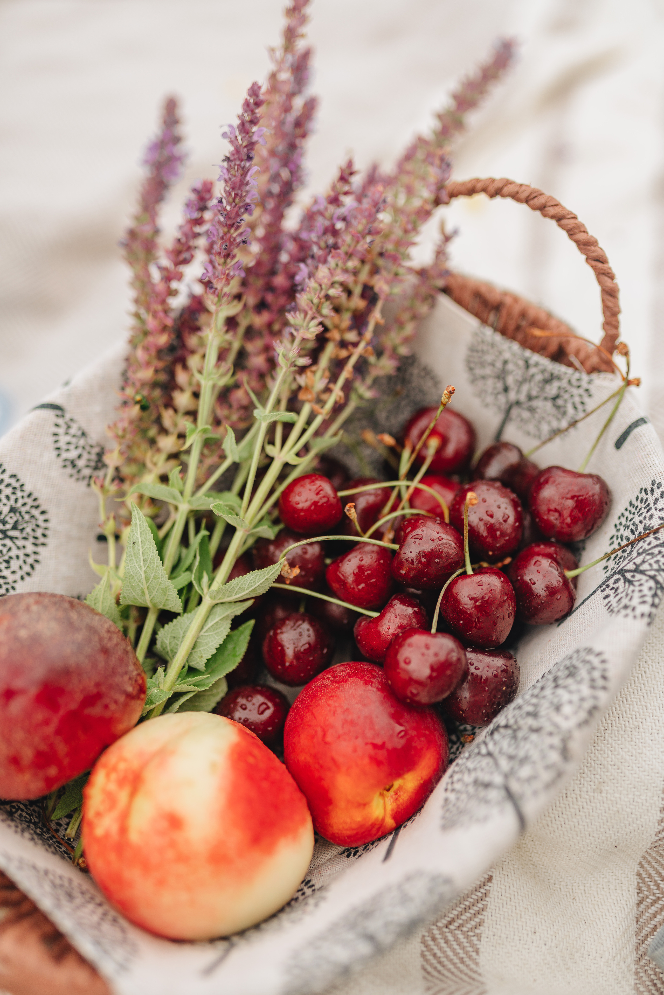 Надежда | Съемка в поле. Фотограф Карина Шмулёва. Воронеж и область