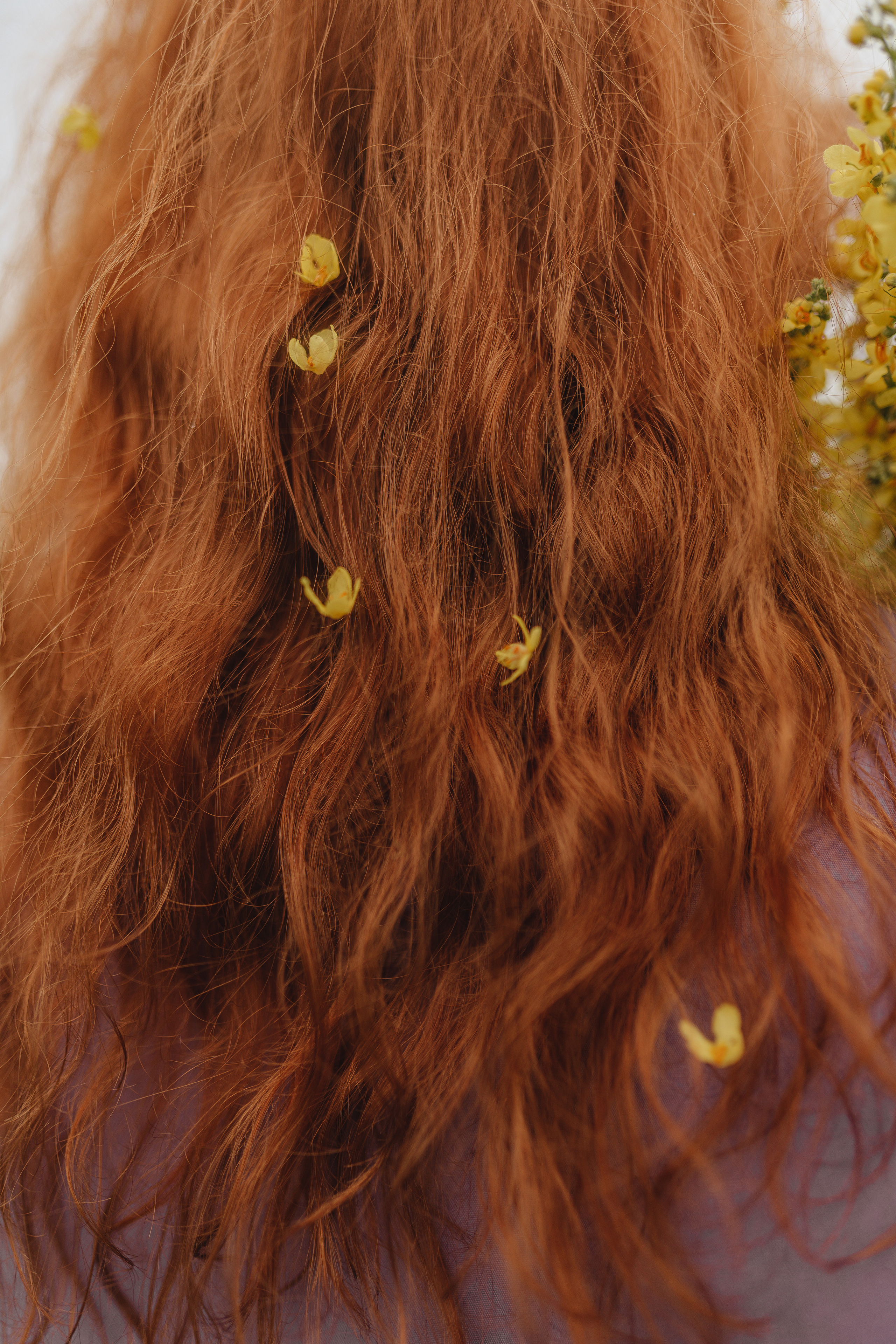 Надежда | Съемка в поле. Фотограф Карина Шмулёва. Воронеж и область