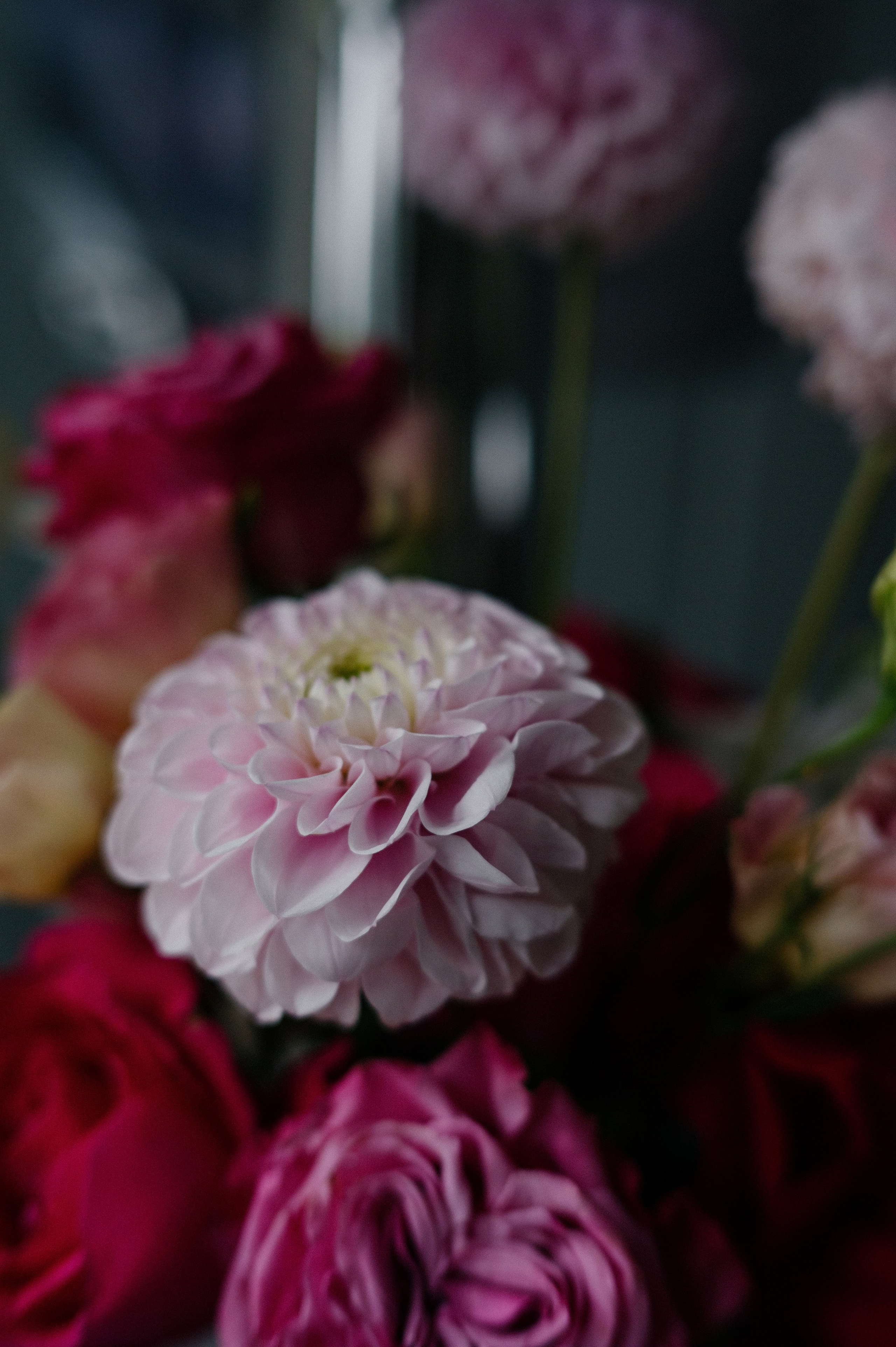 НАСТЯ И ЕГОР. Свадебный и семейный фотограф Никита Корохов