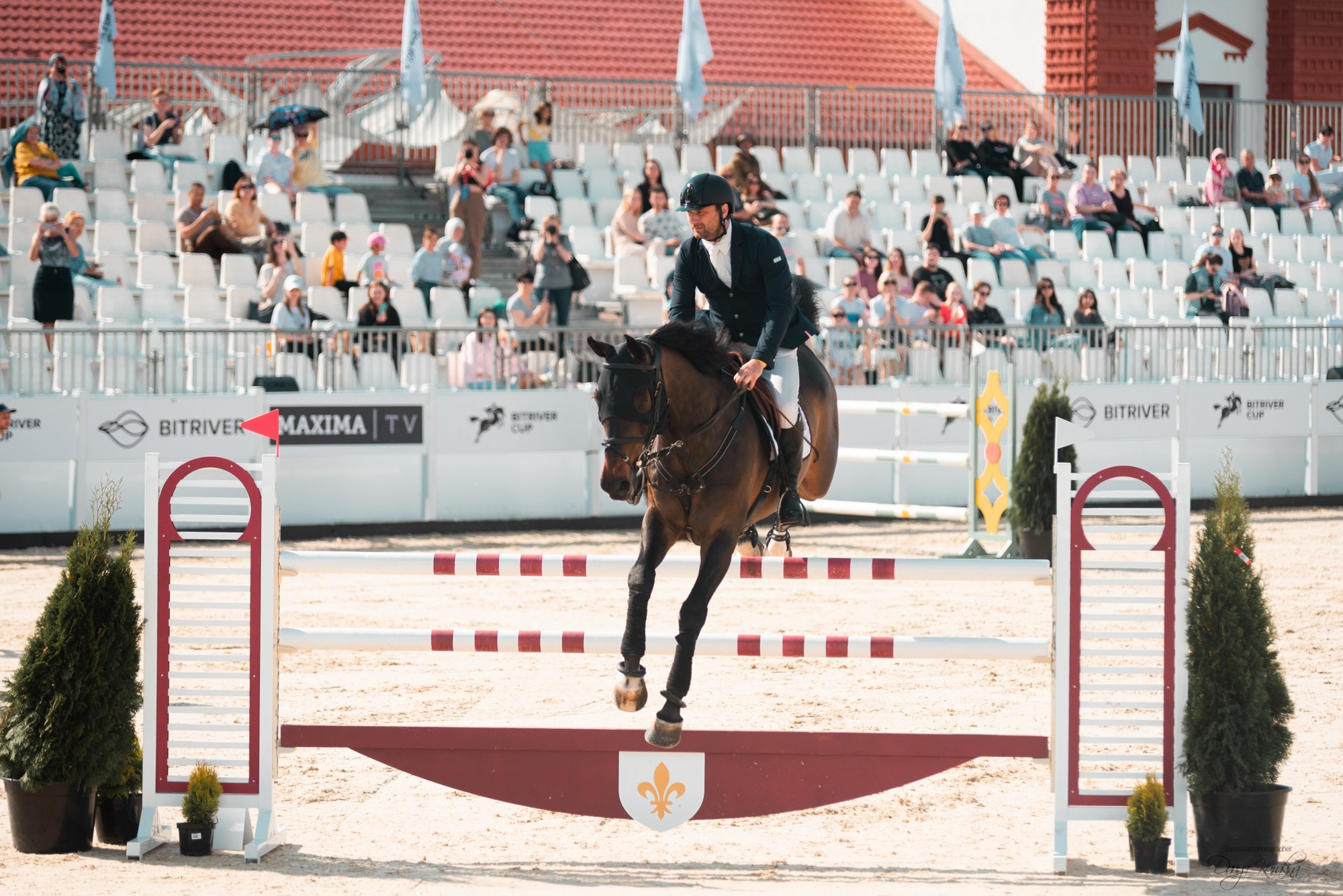 BITRIVER CUP 2023. Конный фотограф Куракина Дарья • Фотосессии с лошадьми