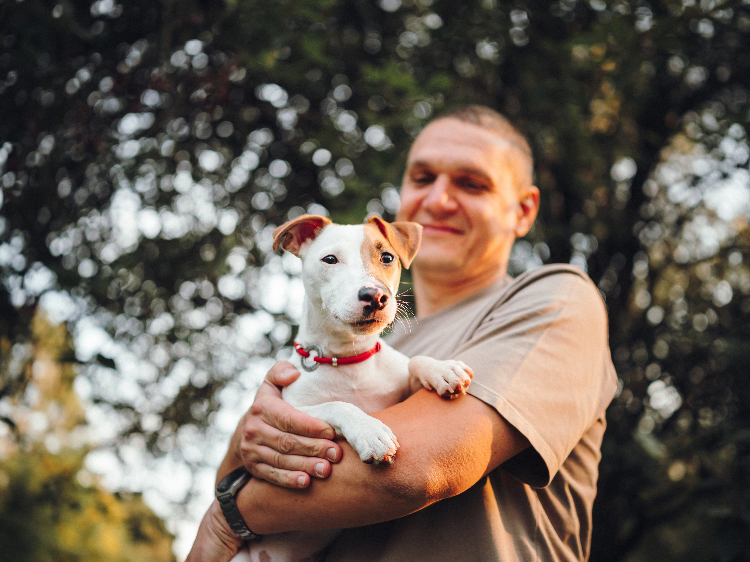 Алена, Илья, Даня и Данте. Семейный фотограф анималист Ананьева Мария — Москва