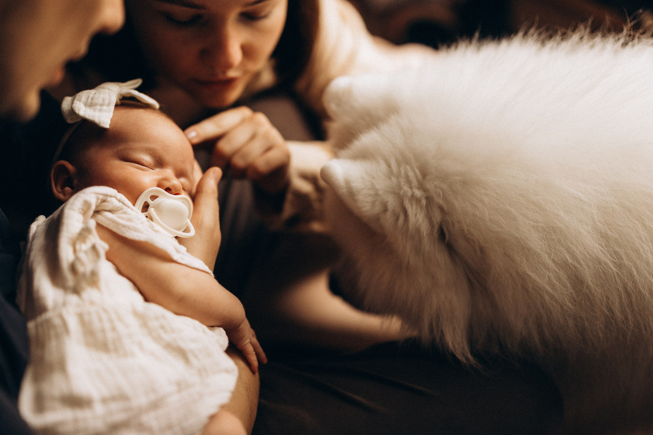 Василиса. Евгения Пелипас