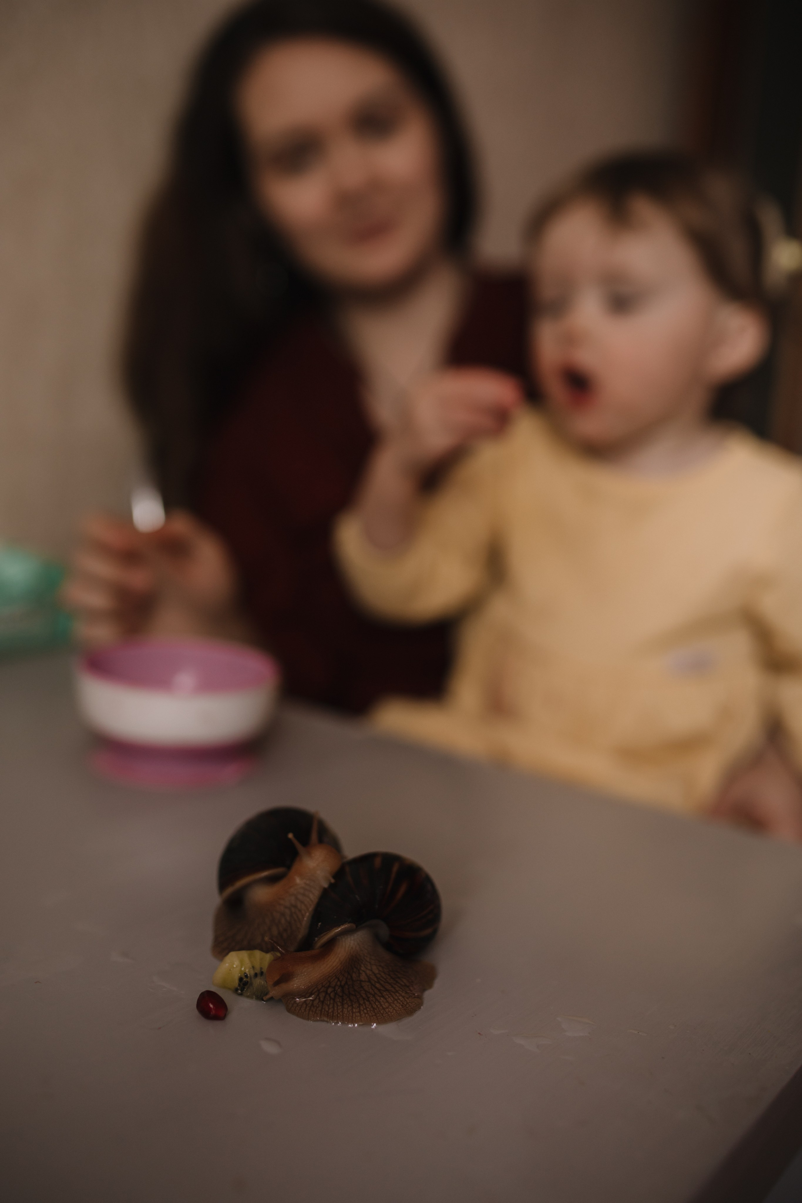 Семейная фотосессия дома. Семейный фотограф в Москве и Люберцах Юлия Гуськова