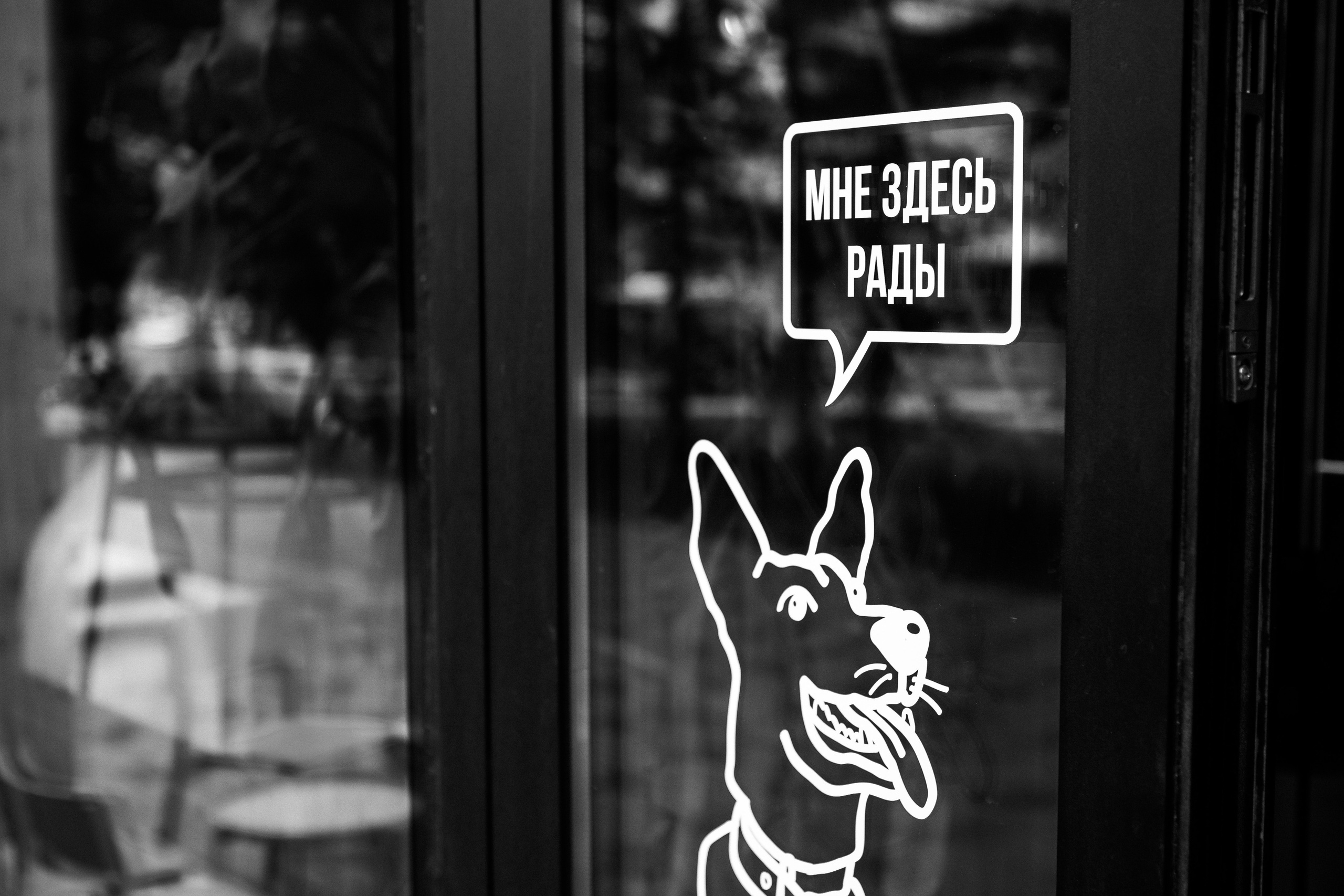 Анастасия и Павел. Свадебный и портретный фотограф в Архангельске Илья Труфанов