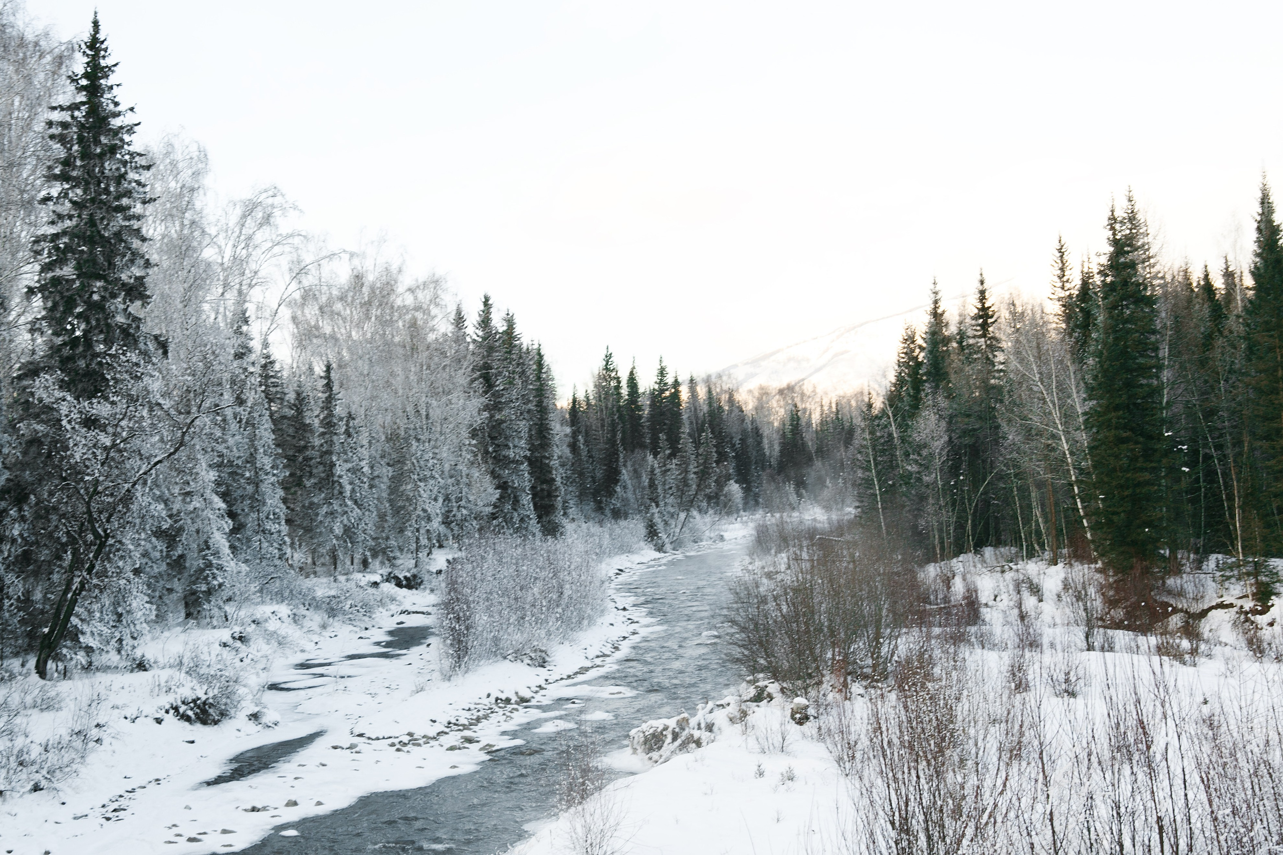 Галерея моих работ. AISA Foto