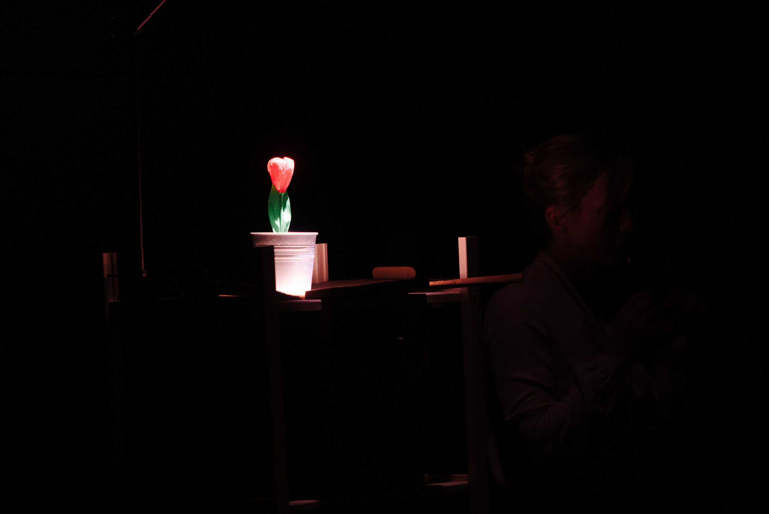 Сахарный ребёнок. Фотограф Алиса Калинина