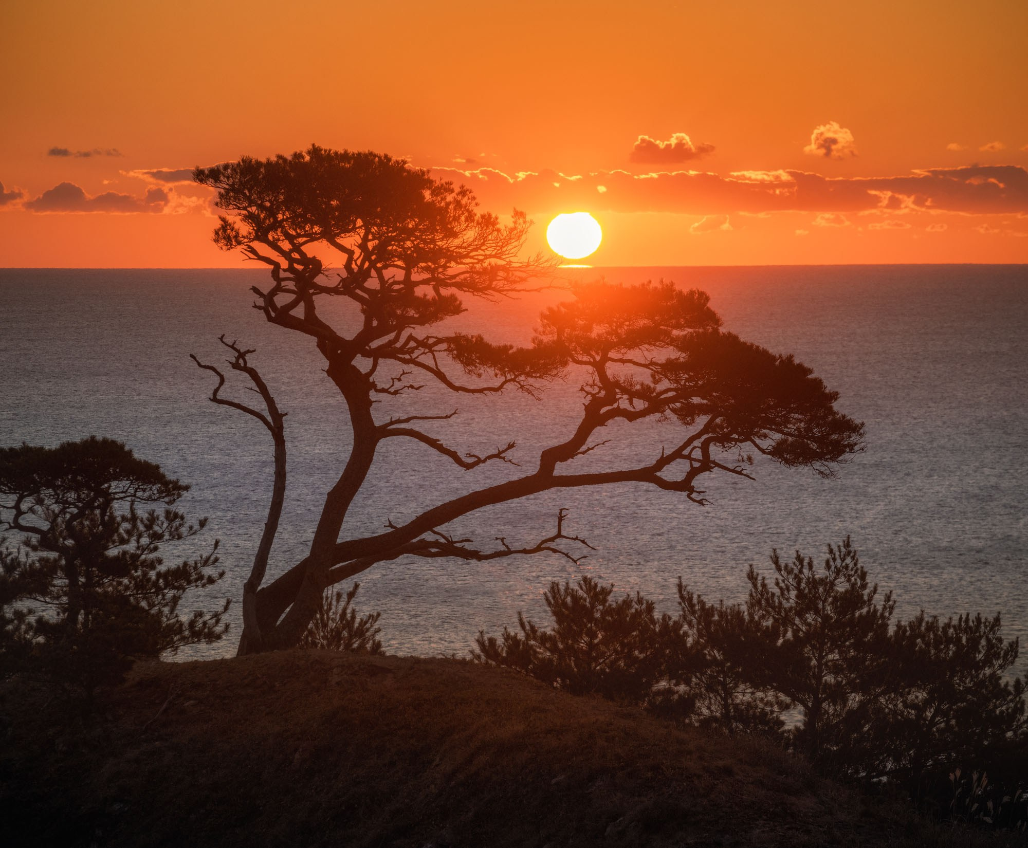 Фотографии Приморье