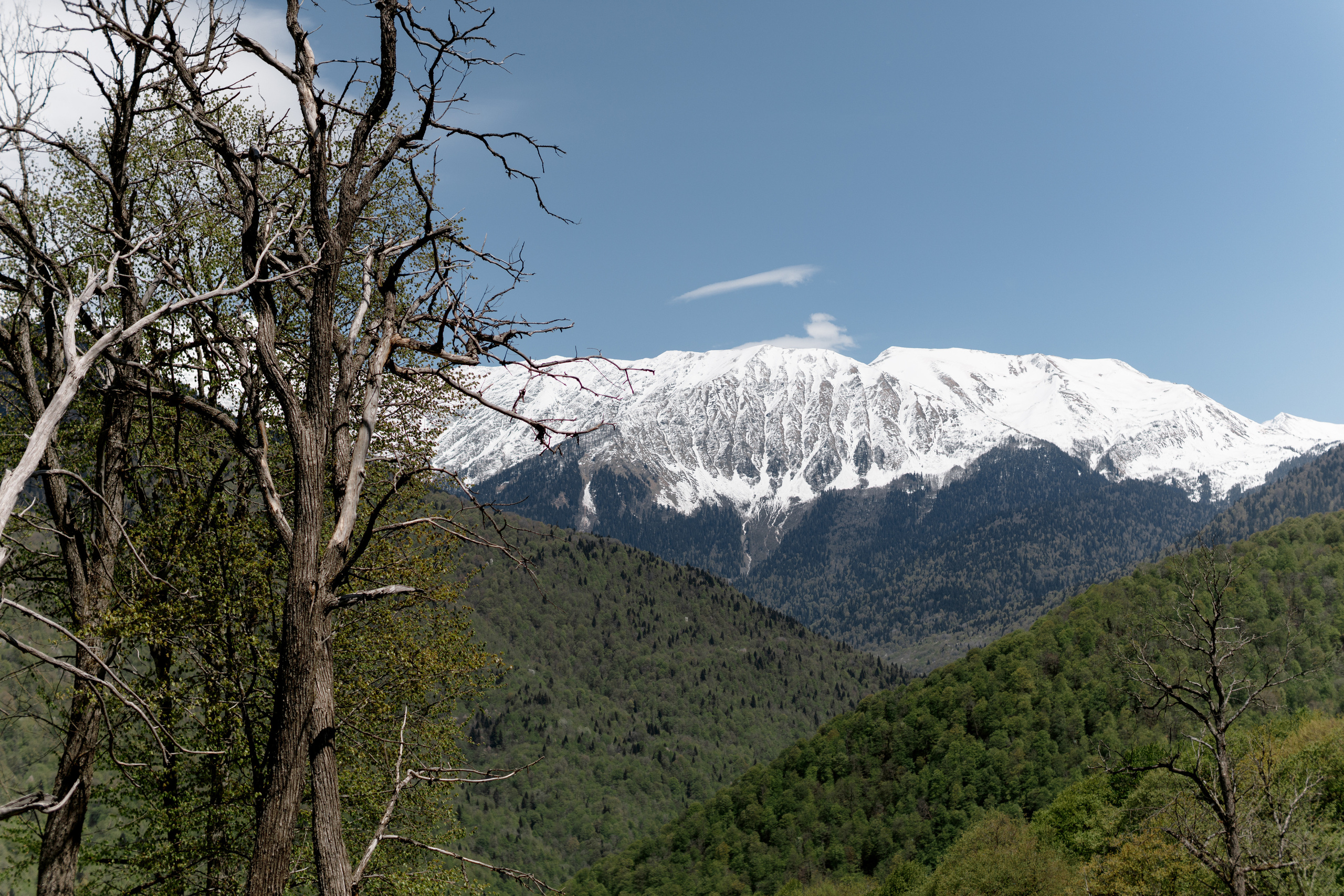 Андрей & Яна — Сочи (Россия). Свадебный фотограф Ричард Конвенсаров Wedding Photographer Richard & I