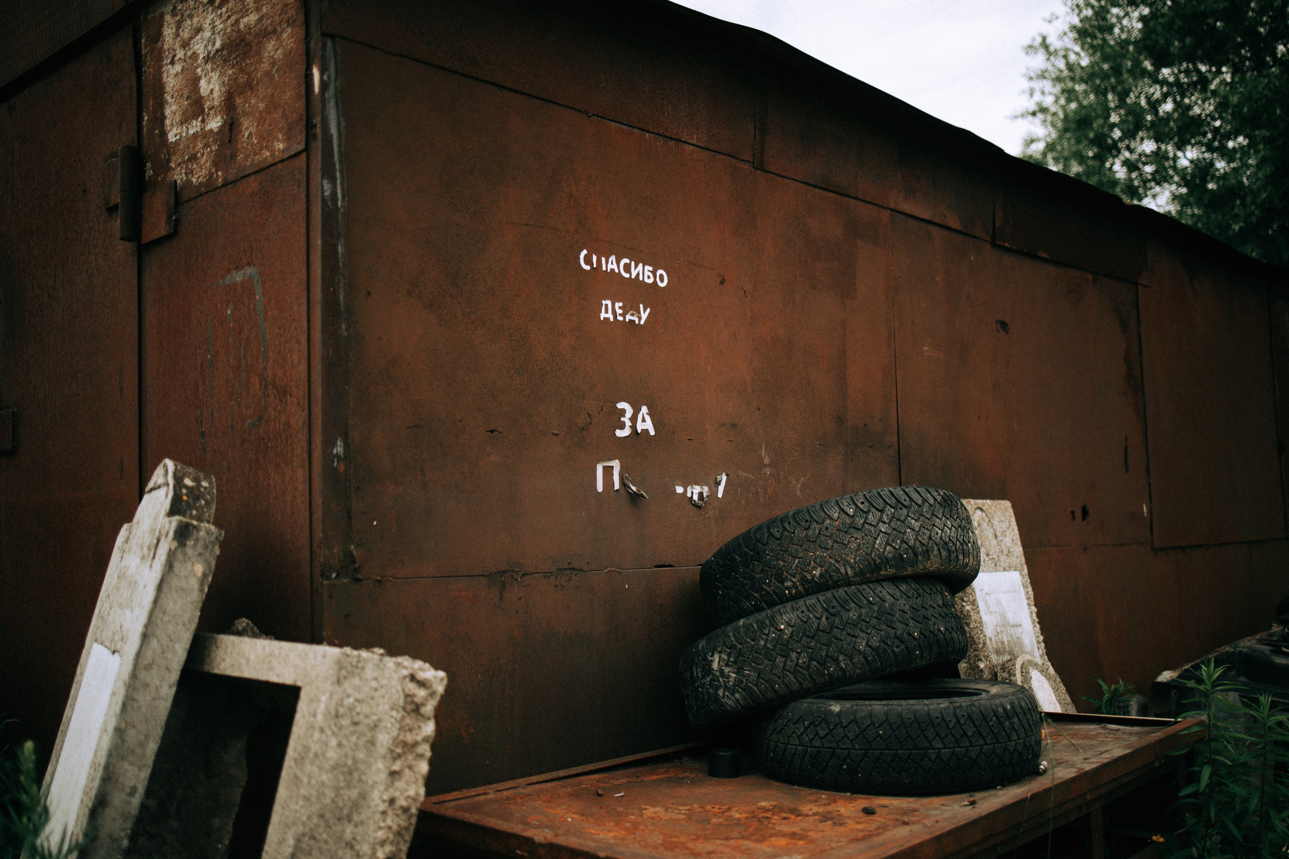 Прогулка по Криволучью. Свадебный и семейный фотограф в Туле и области Маша Костина