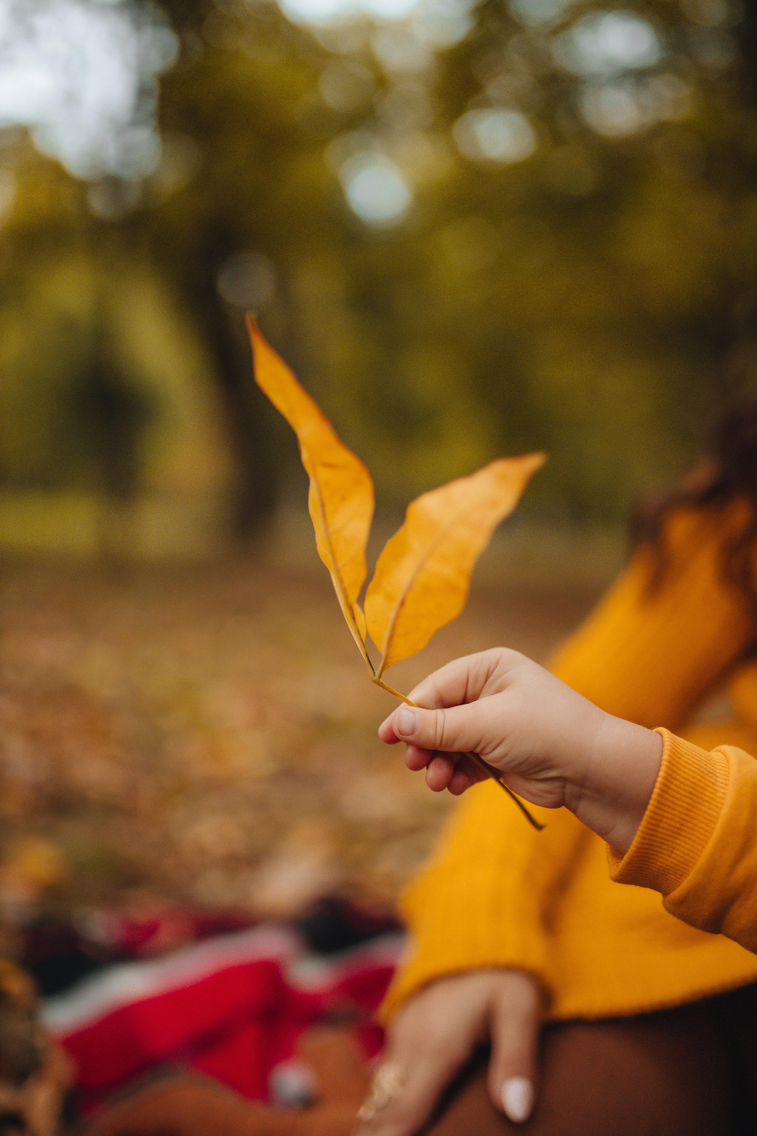 Осенняя. Фотограф в Краснодаре Юлия Перкунова
