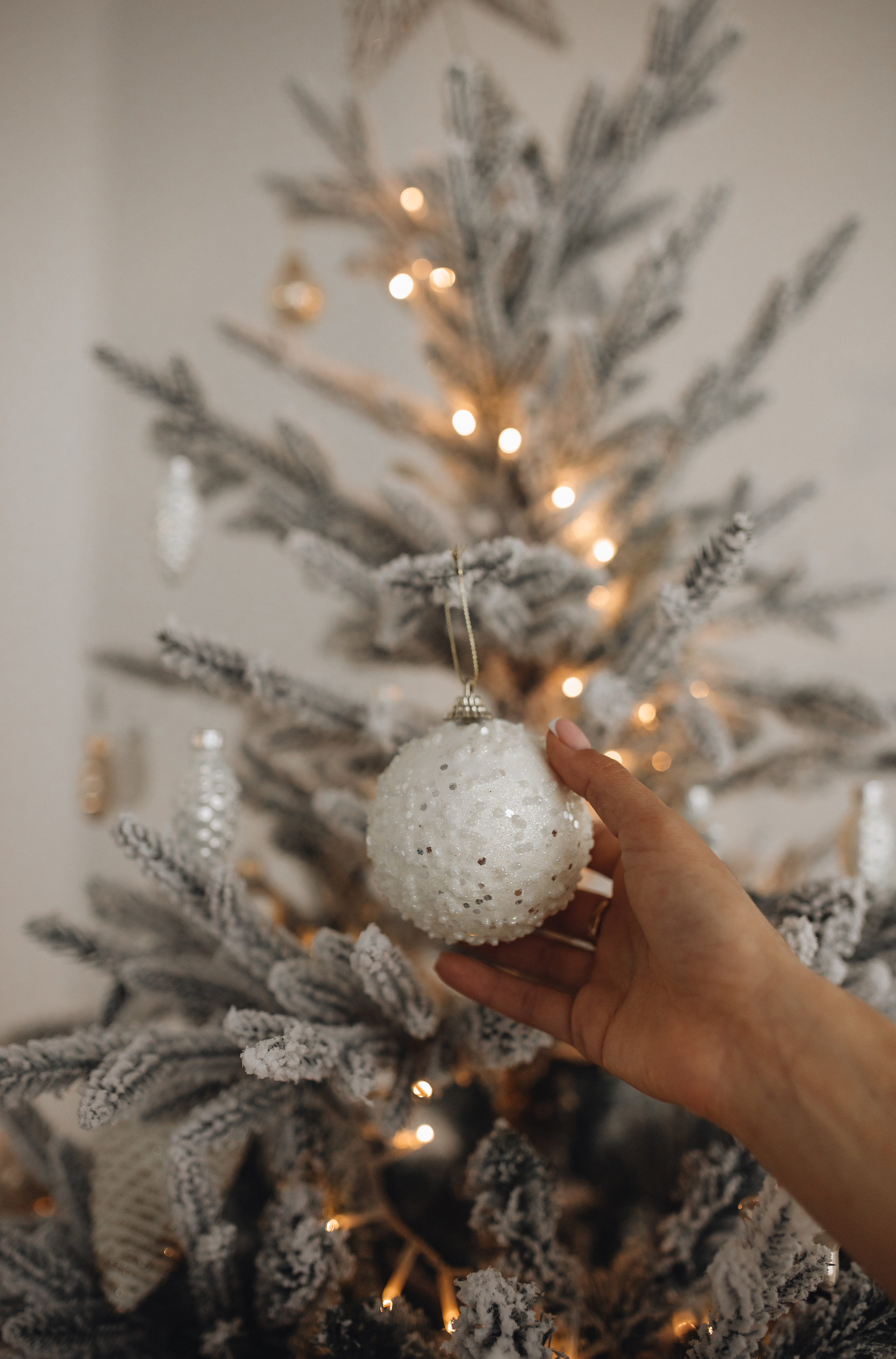 Анна и Павел (новогодняя). Фотограф в Краснодаре Юлия Перкунова