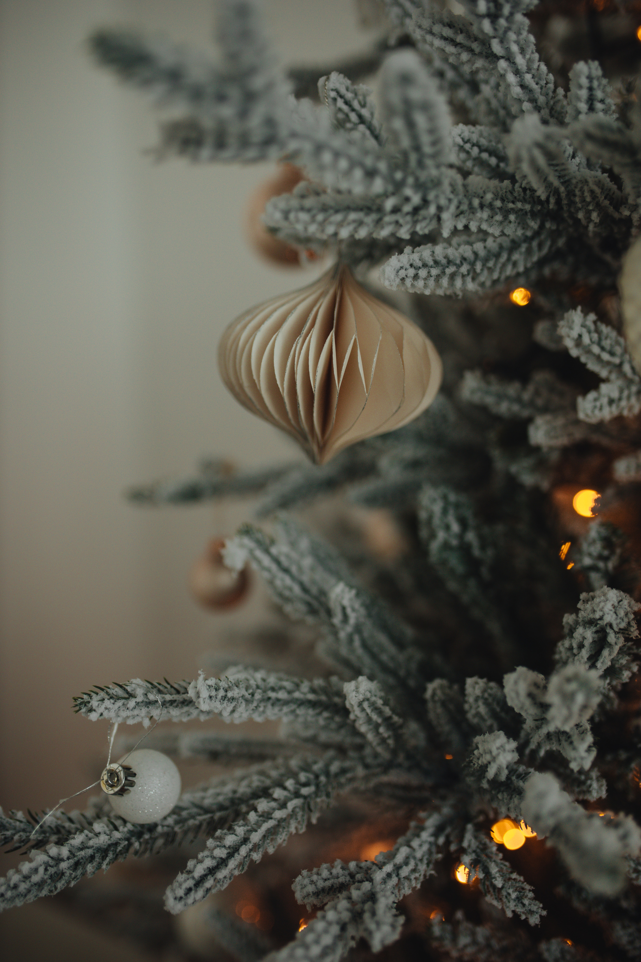 Съемка поколений. Фотограф в Краснодаре Юлия Перкунова