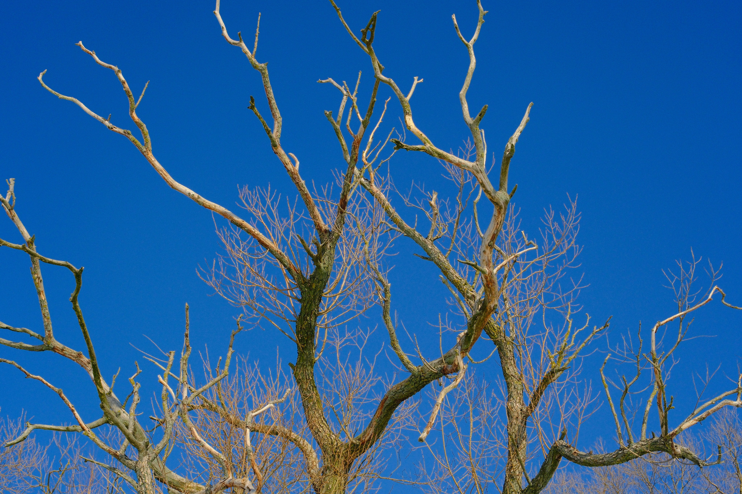 Творчество. Семейный и портретный фотограф в Минске Константин Менжинский
