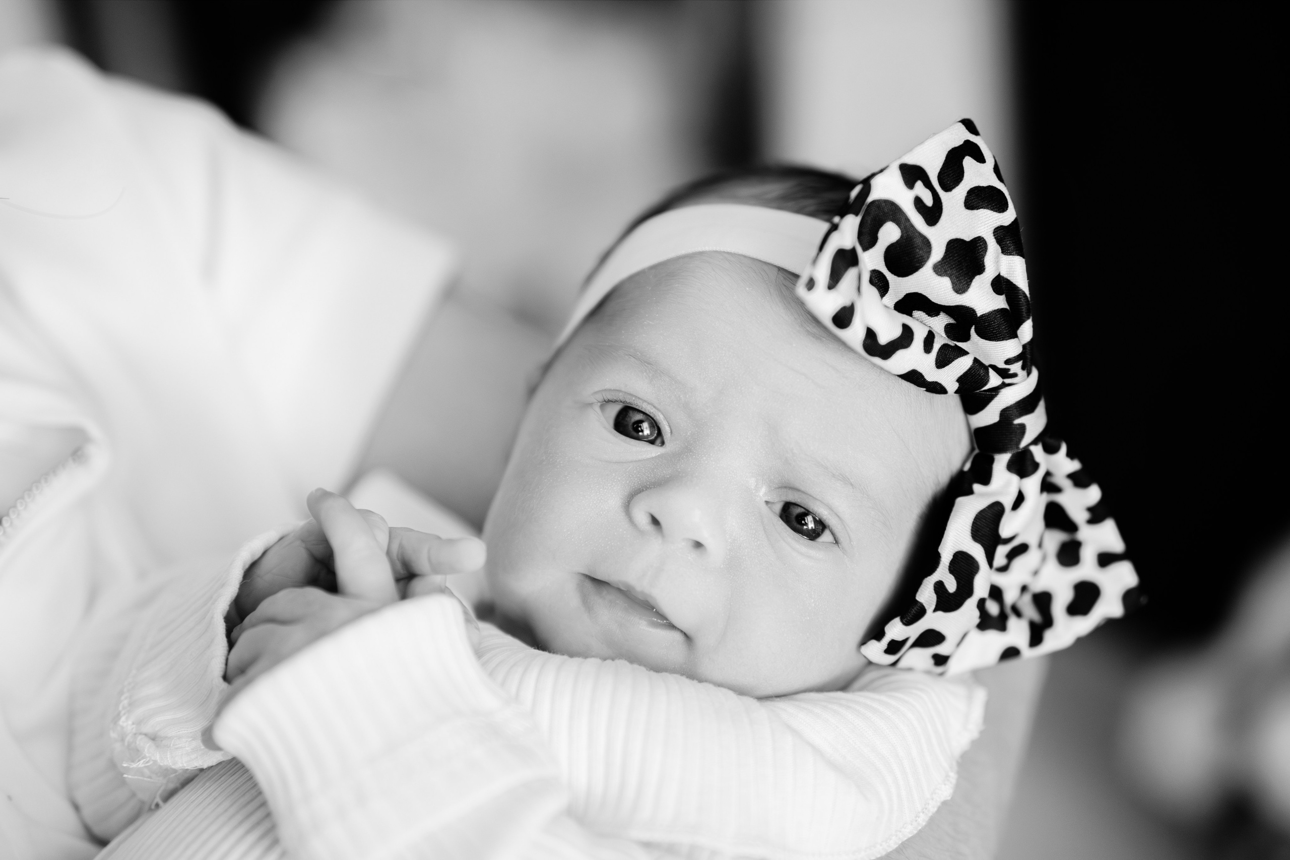 Newborn. Свадебный фотограф в Лисках