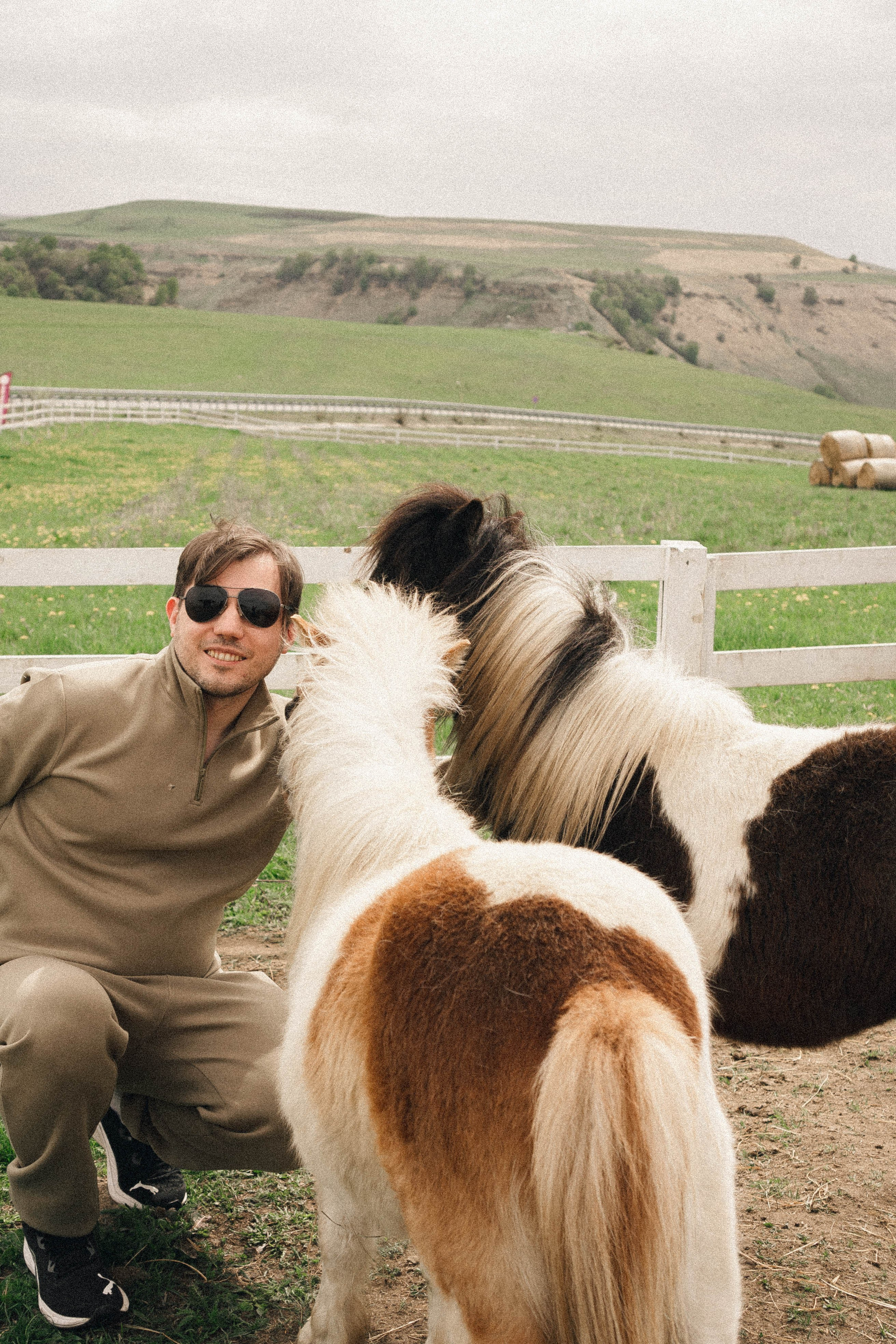 Ферма Альпак. Профессиональный фотограф, Санкт-Петербург — Виктория Богомолова
