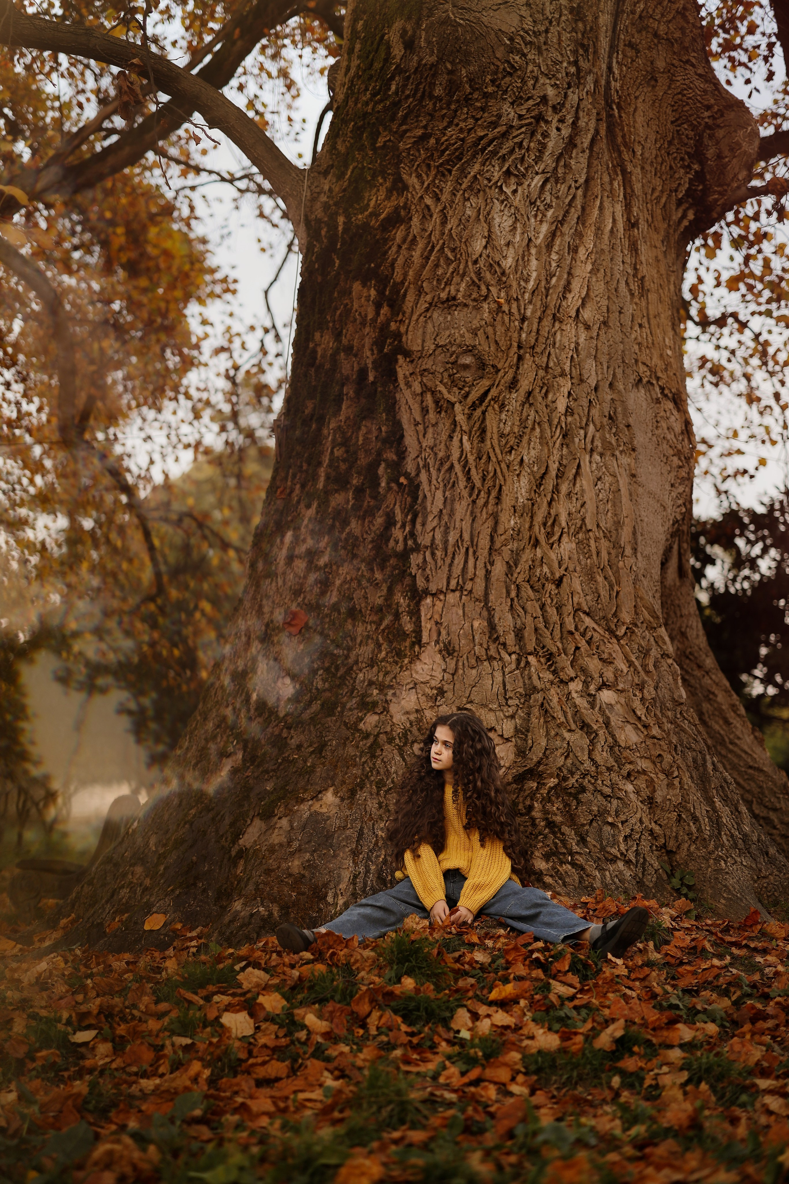 Осенняя фотосессия для Полины у древа патриарха в Сухуме. Свадебный и семейный фотограф в Абхазии Жанна Соснина