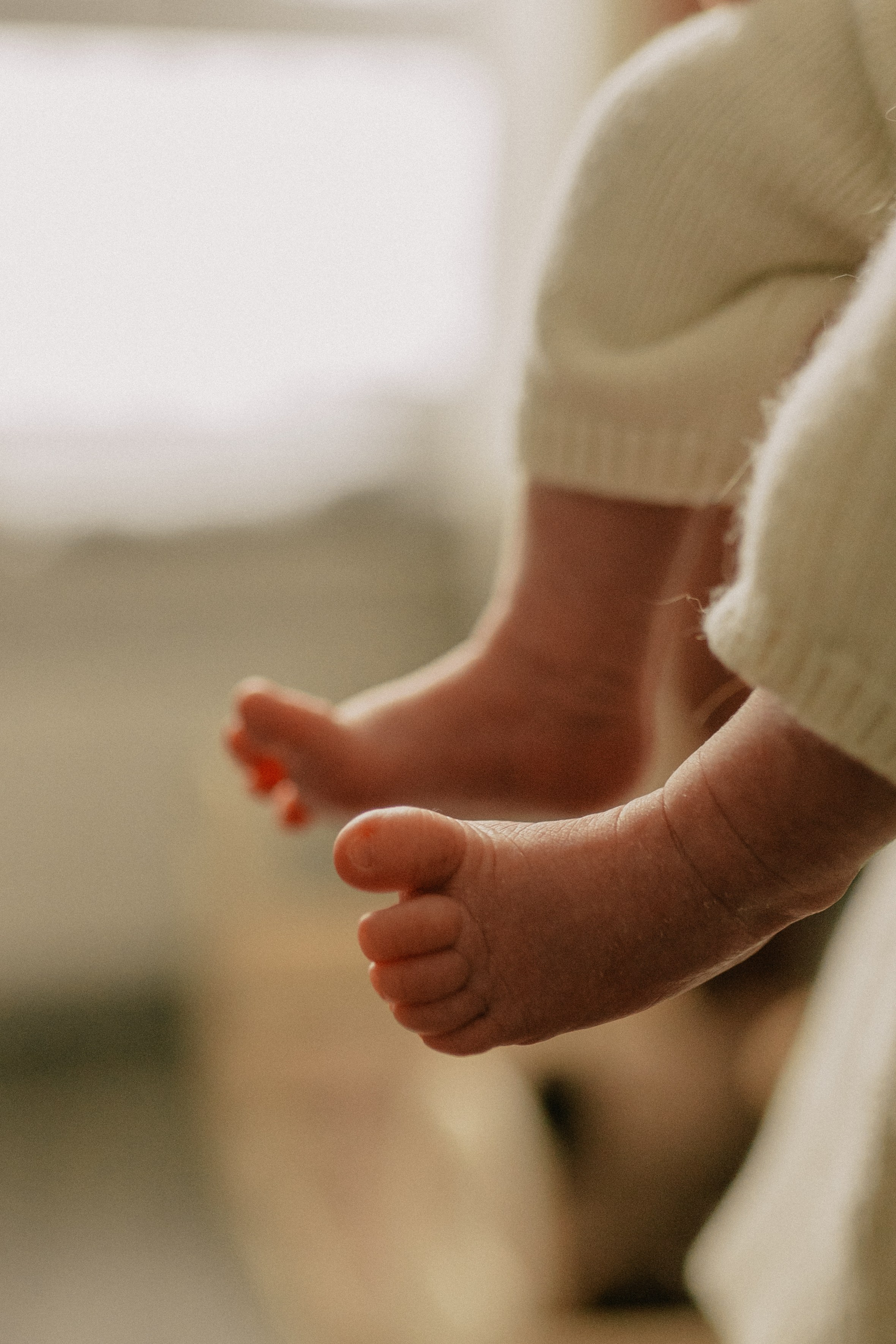 Лена, Игорь, Арина, Агата. Семейный фотограф Москва