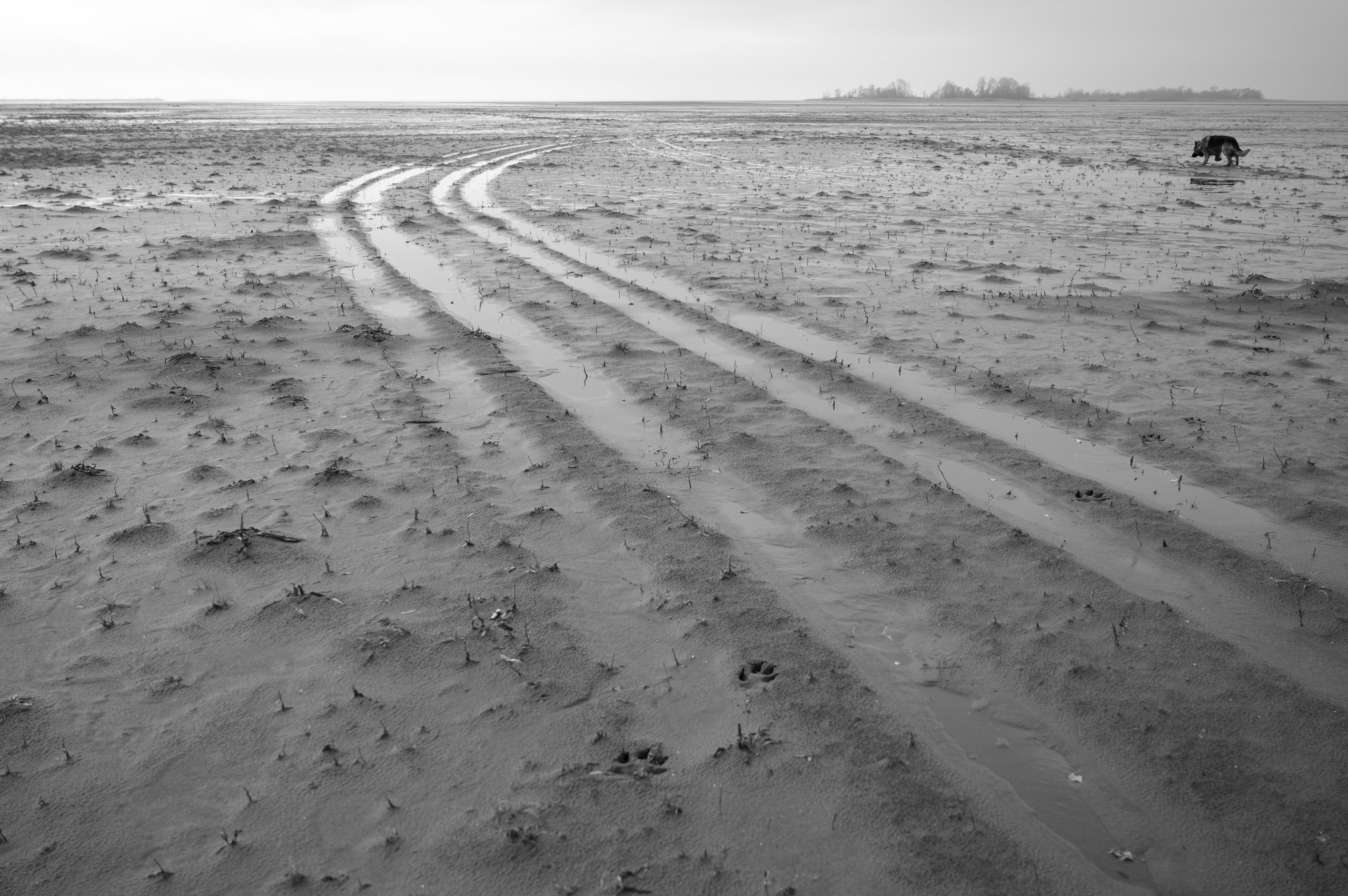 Земля предков. Фотограф Мария Усманова, Казань