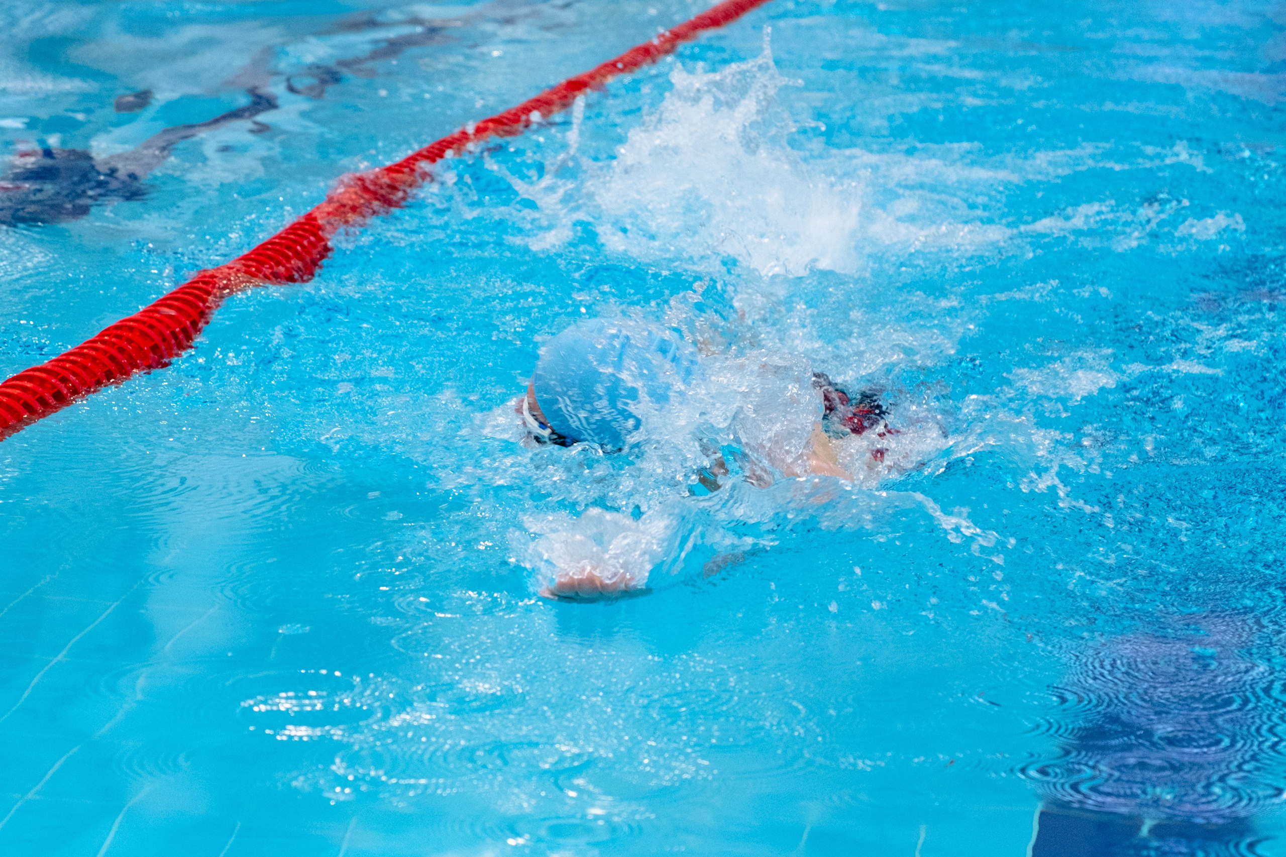 Всероссийский фестиваль «День пловца» в Сириусе. Репортажный фотограф в Сочи Екатерина Вежливцева