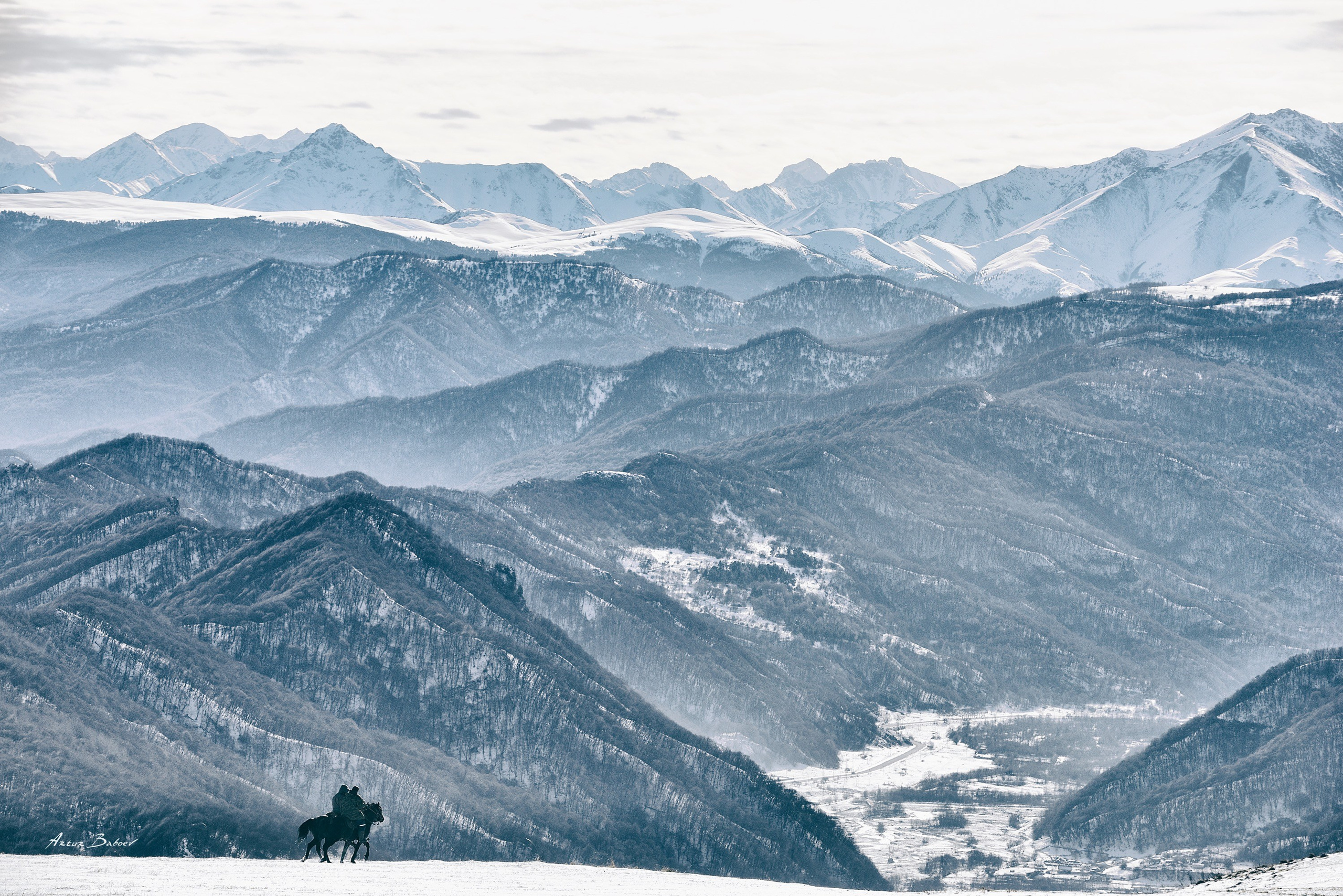 Gallery. Art photos of horses — ARTUR BABOEV | Photographer