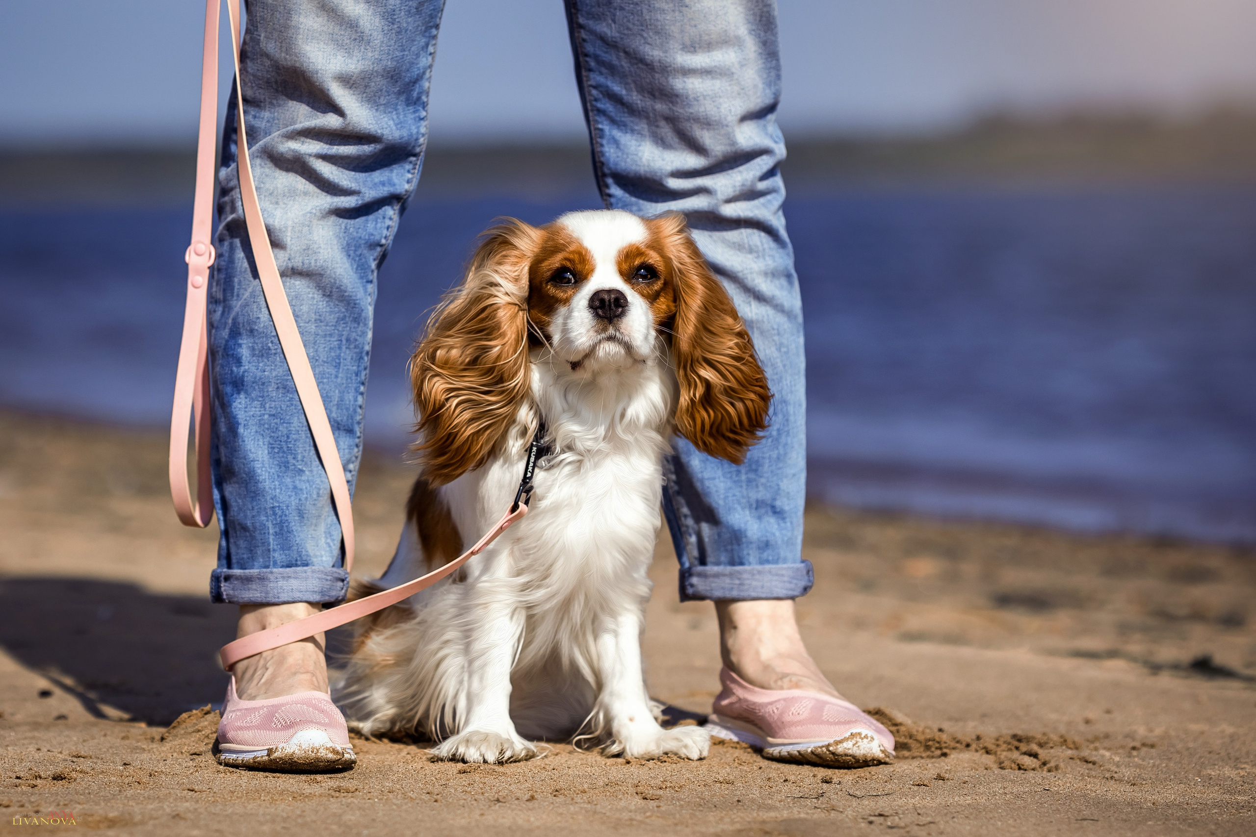 Аня и Миля. Фотограф анималист Аня Ливанова | Рыбинск