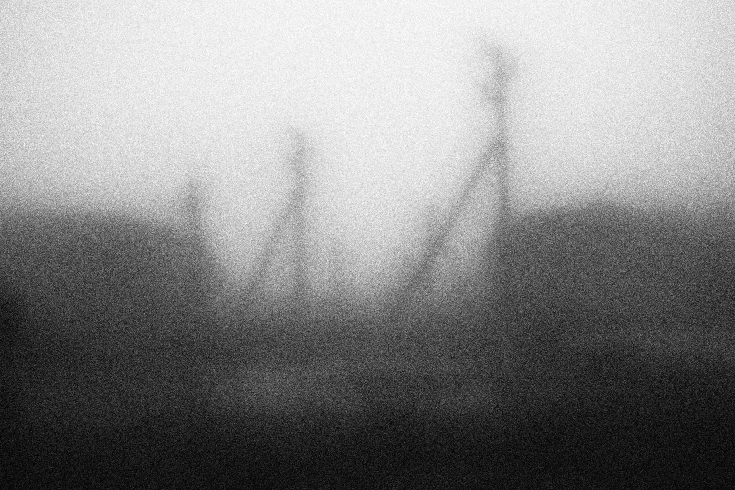 «Видеть. Чувствовать. Сохранять»