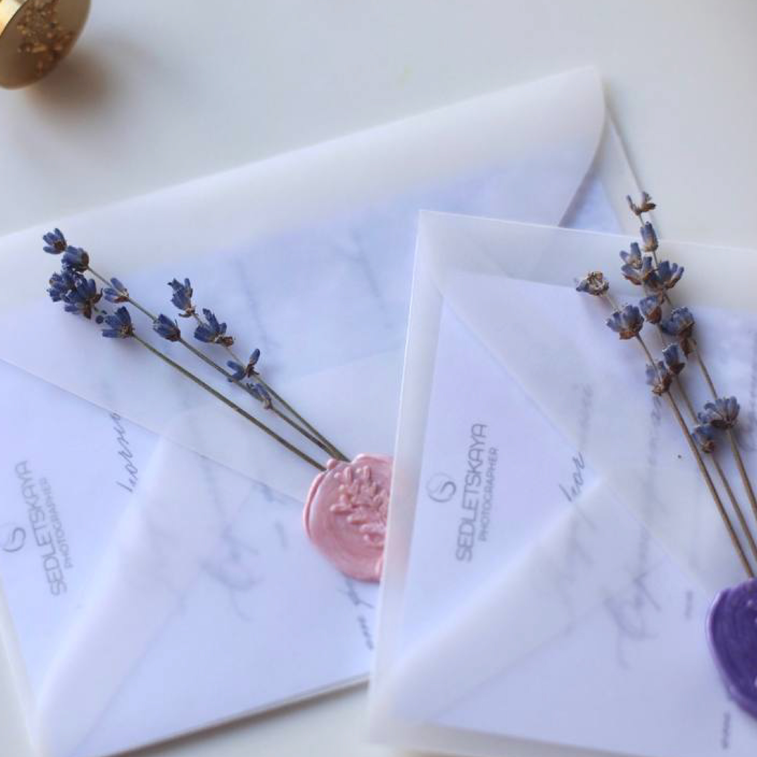 Логотип для фотографа. Графический дизайнер Людмила Третьякова