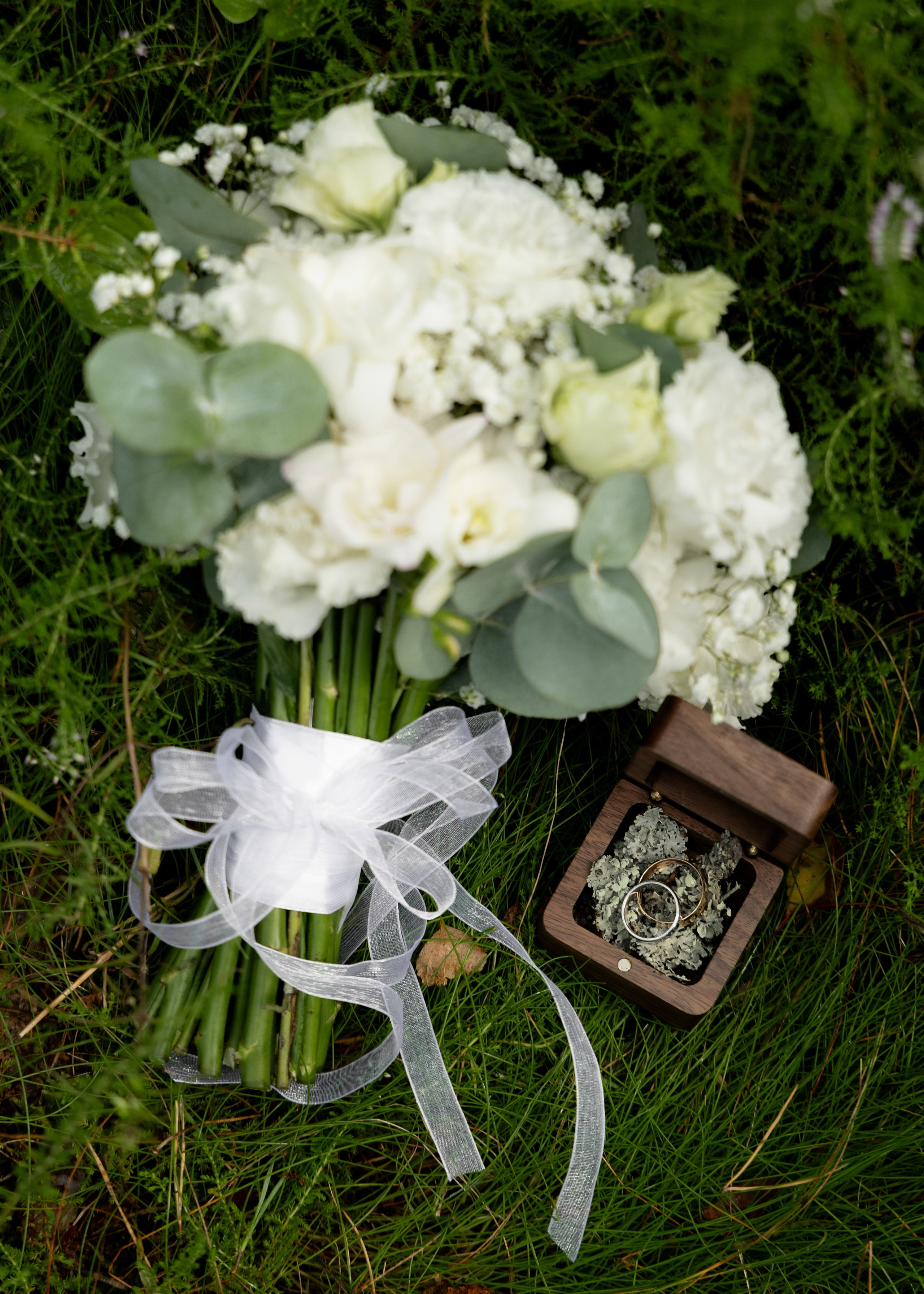 Денис & Дарья | в лесу. Фотограф в Калининграде Сокирко Светлана