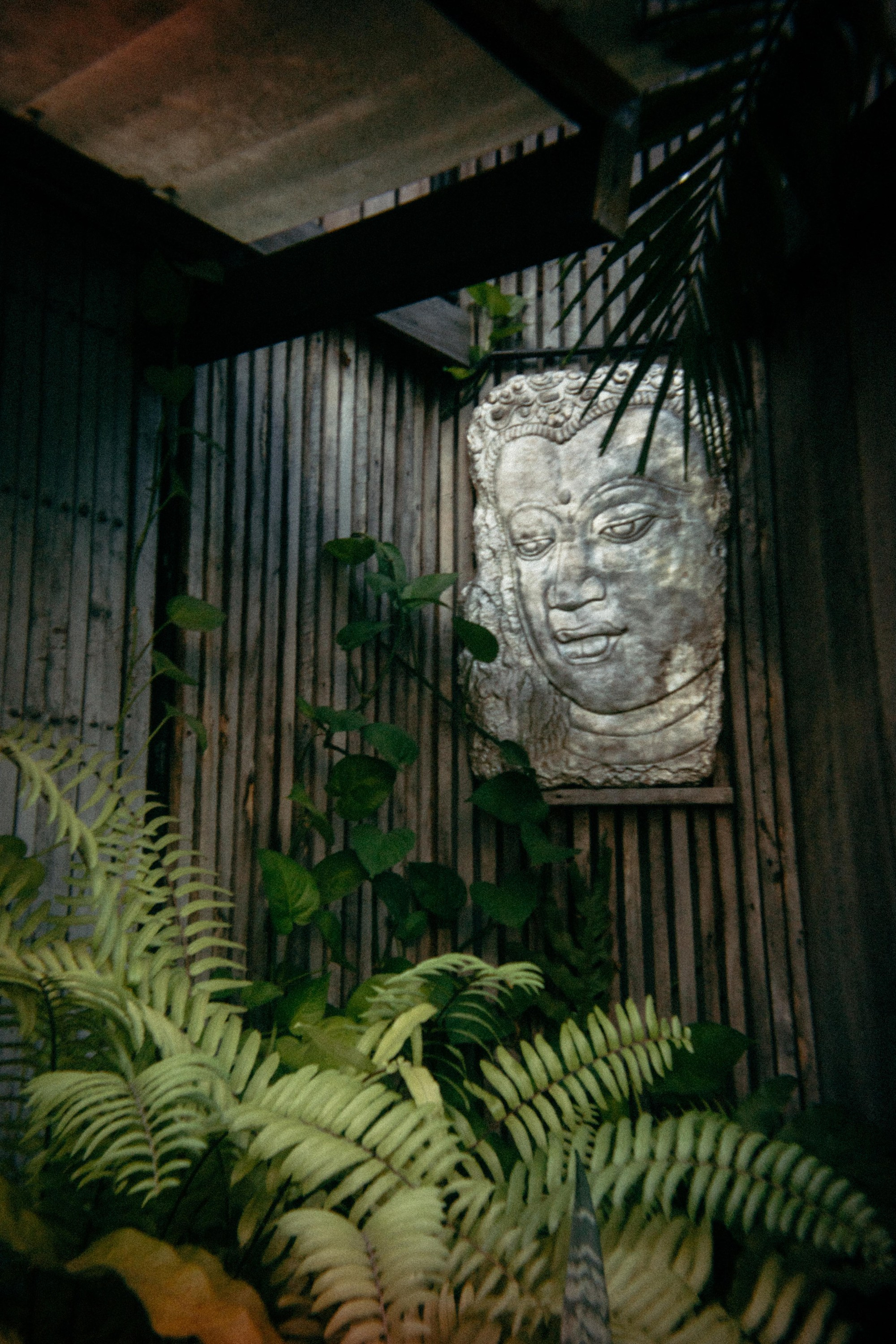 Шри + Бангкок. Фотограф Тбилиси Саша Мороз