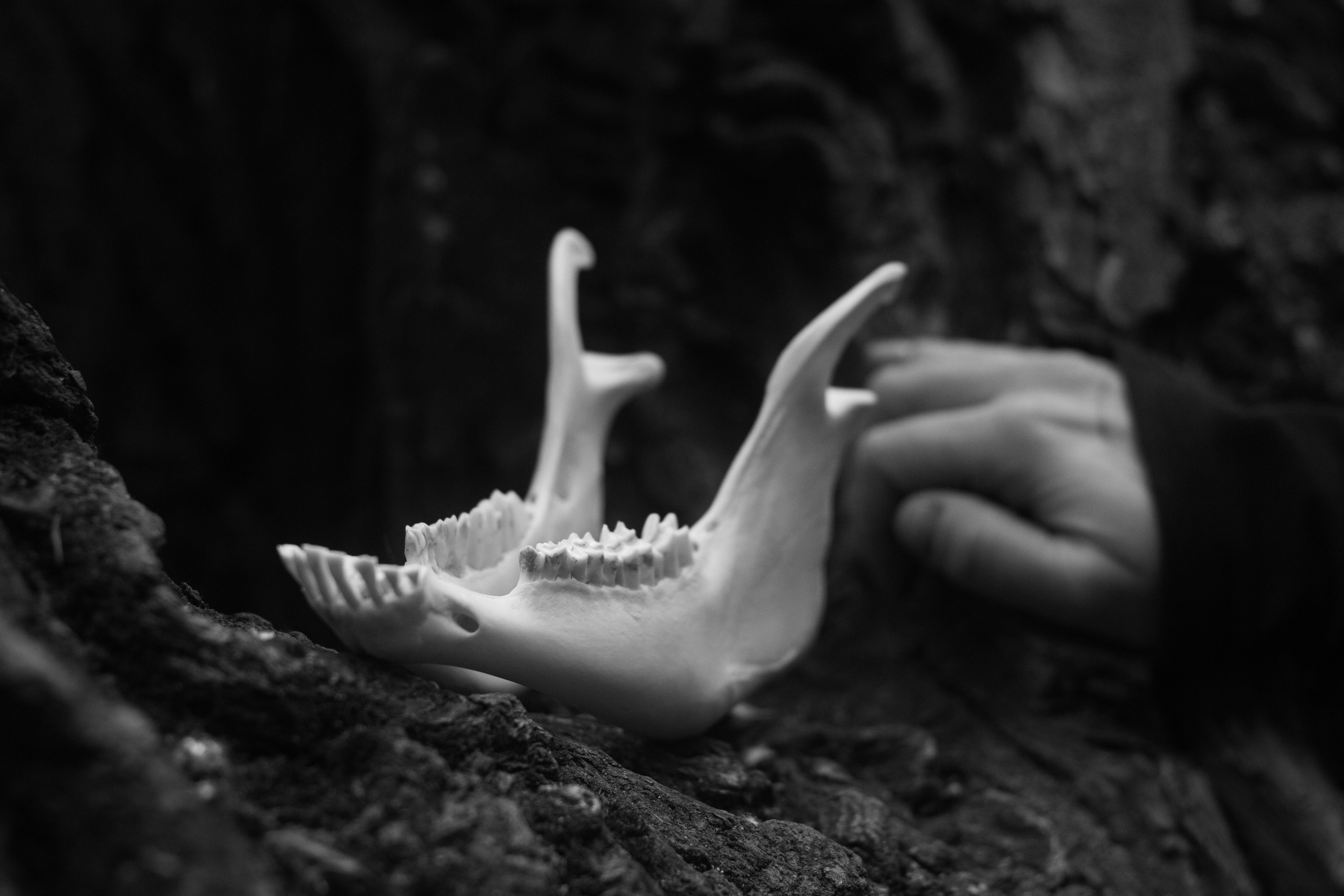 Милена, тату-мастер и художница. Контент-фотограф для творческих единиц и мастеров в Санкт-Петербурге