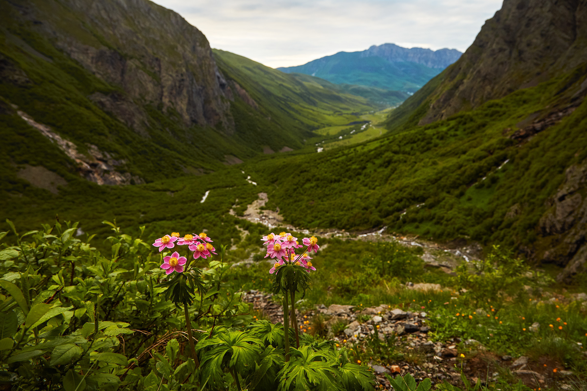 Свеверная Осетия 21. Фотограф Тимофей Юров Москва